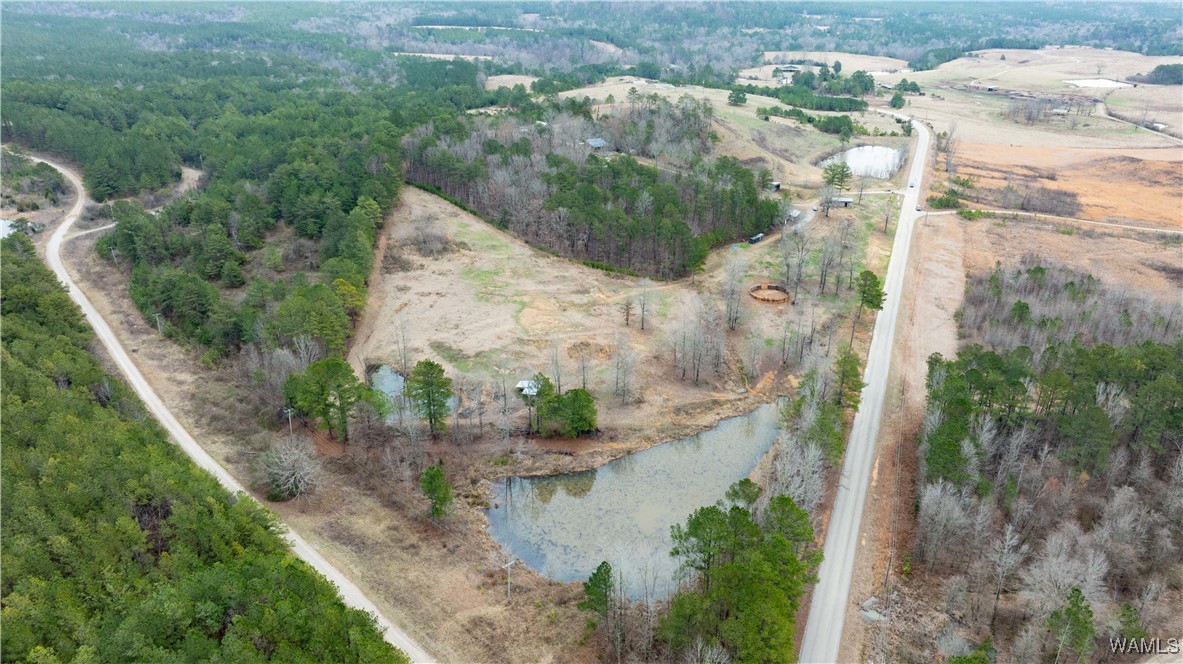 11162 Goodwater Road