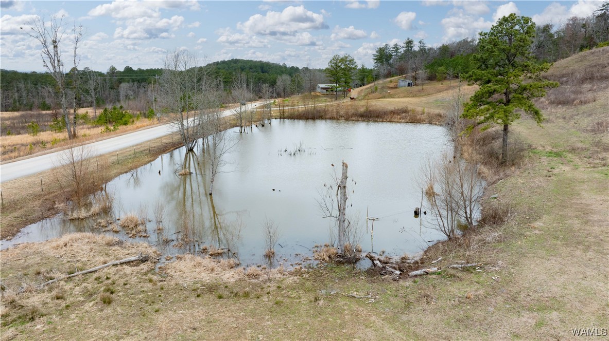 11162 Goodwater Road