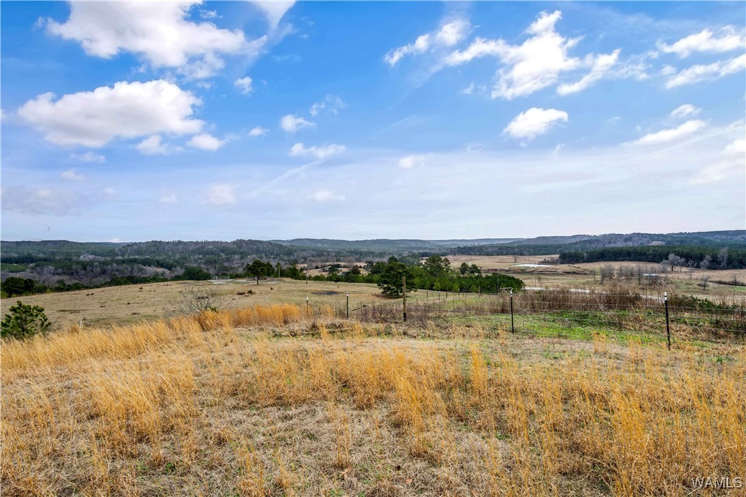 11162 Goodwater Road
