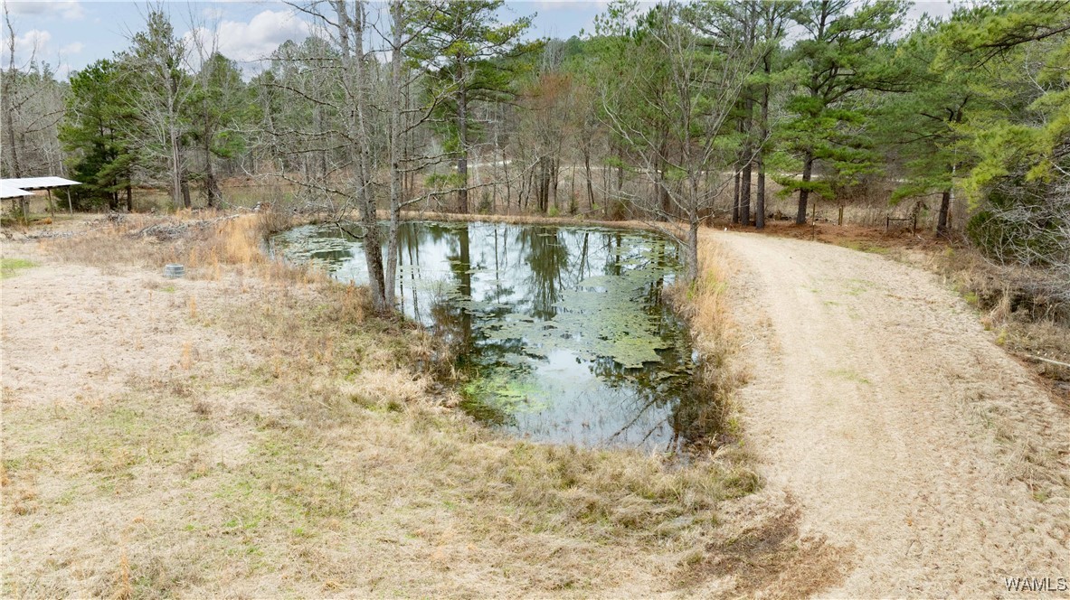 11162 Goodwater Road