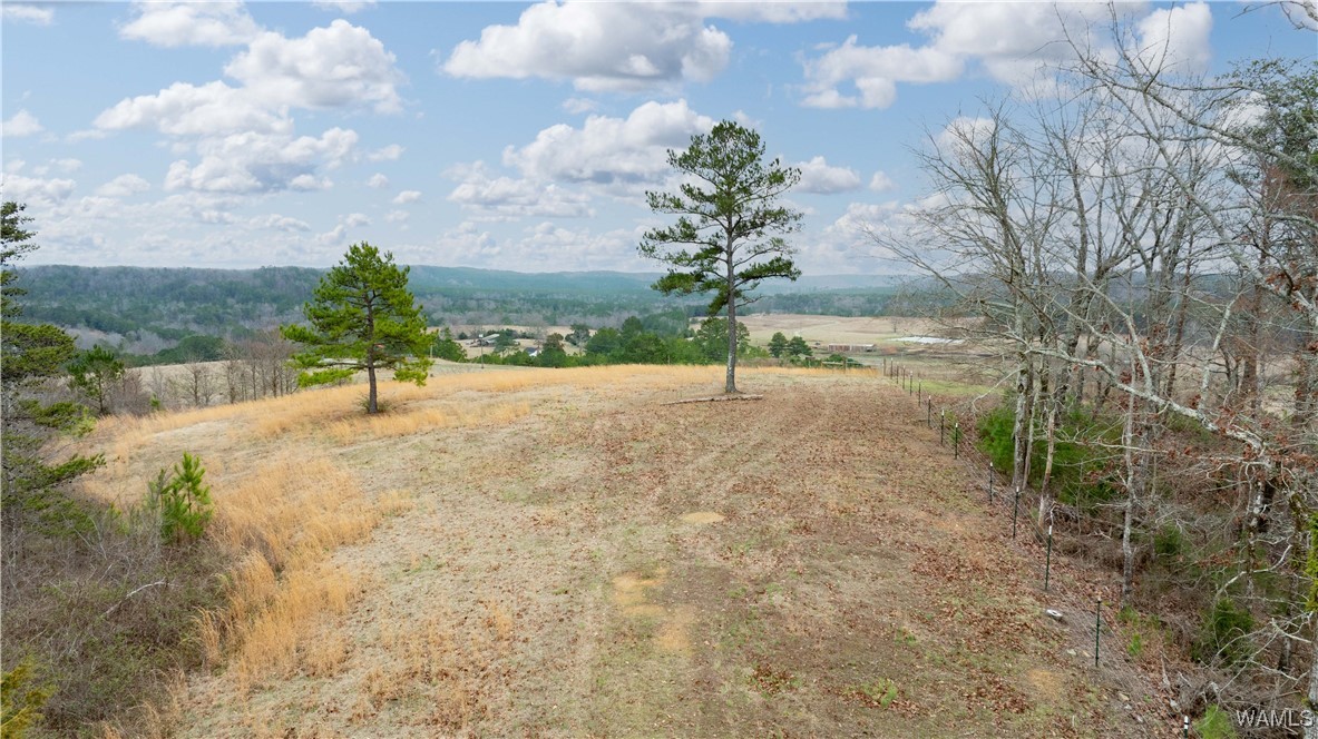 11162 Goodwater Road