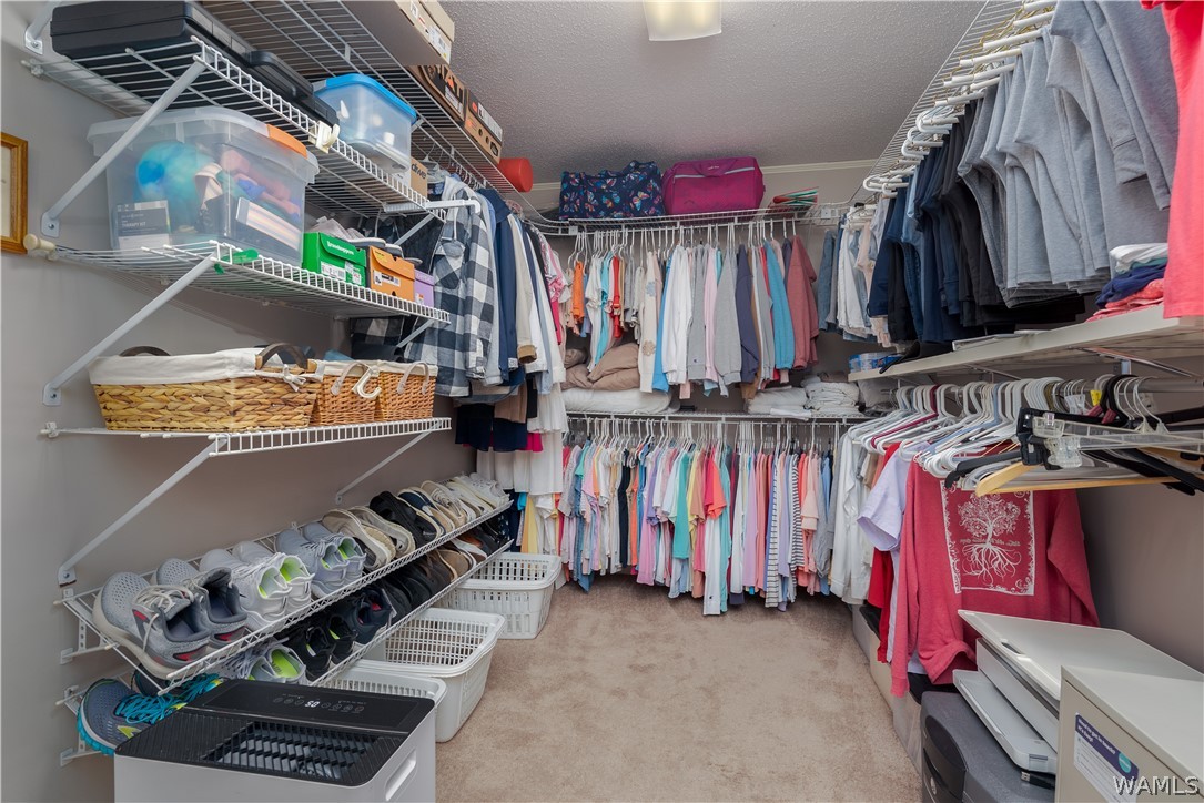 2804 FOREST Brook