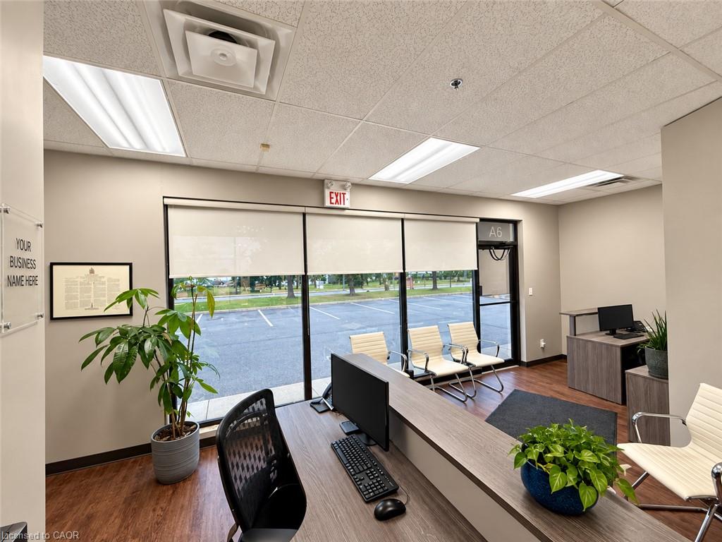 Office reception area with a front desk, potted plants, and waiting chairs beside large windows.