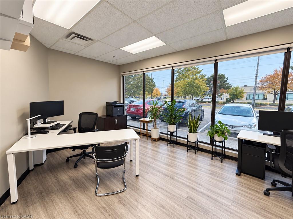 Furnished office with computer workstations and plants beside broad windows overlooking a parking lot.