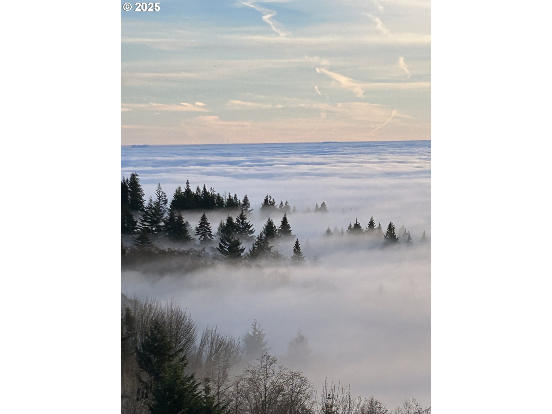 813 VARSITY RD, Kalama