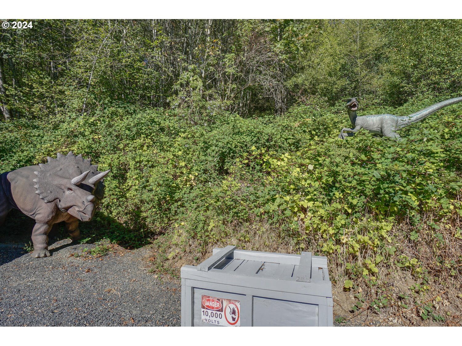 61 JOY RD