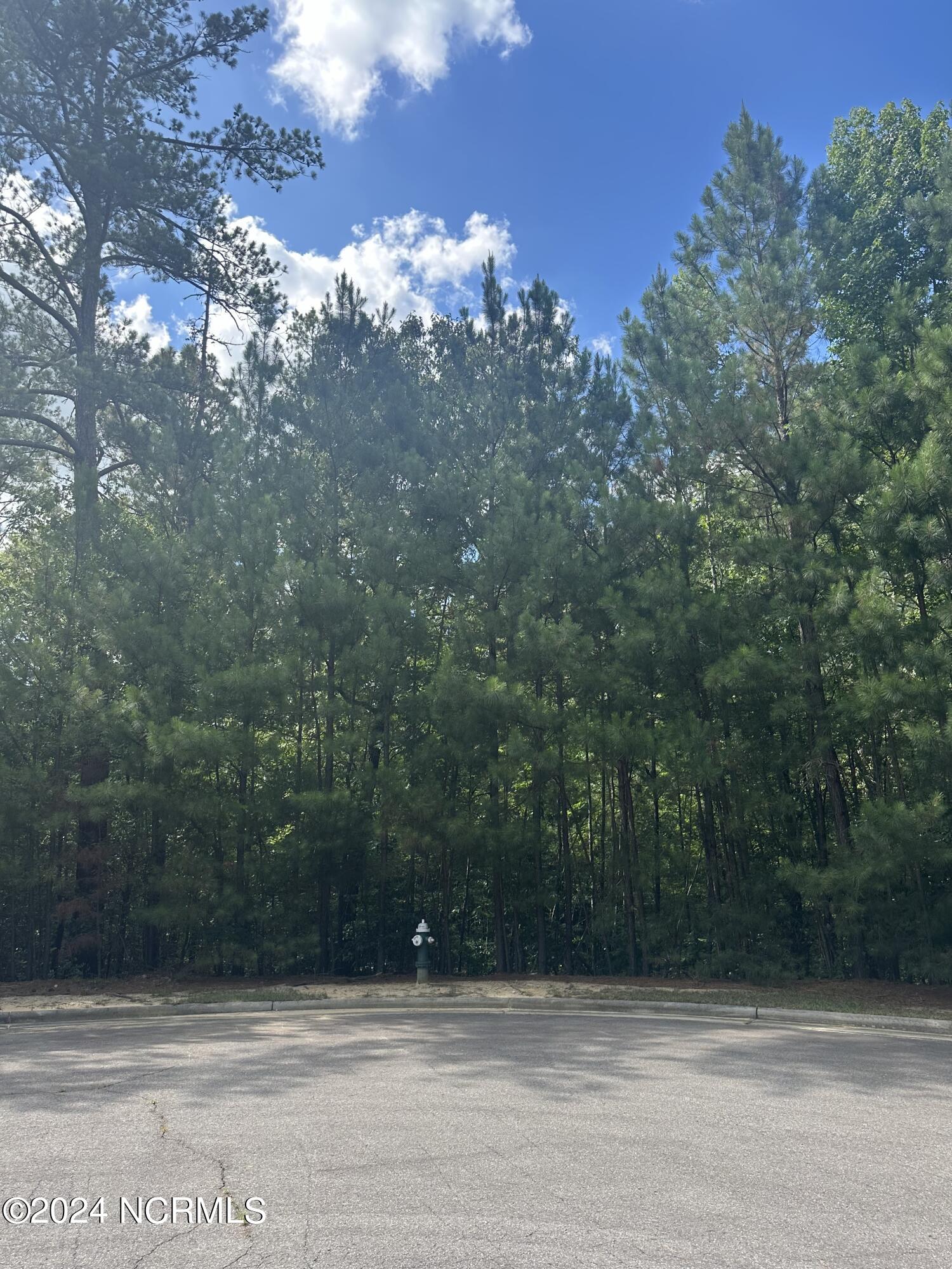 5 Hemlock Court