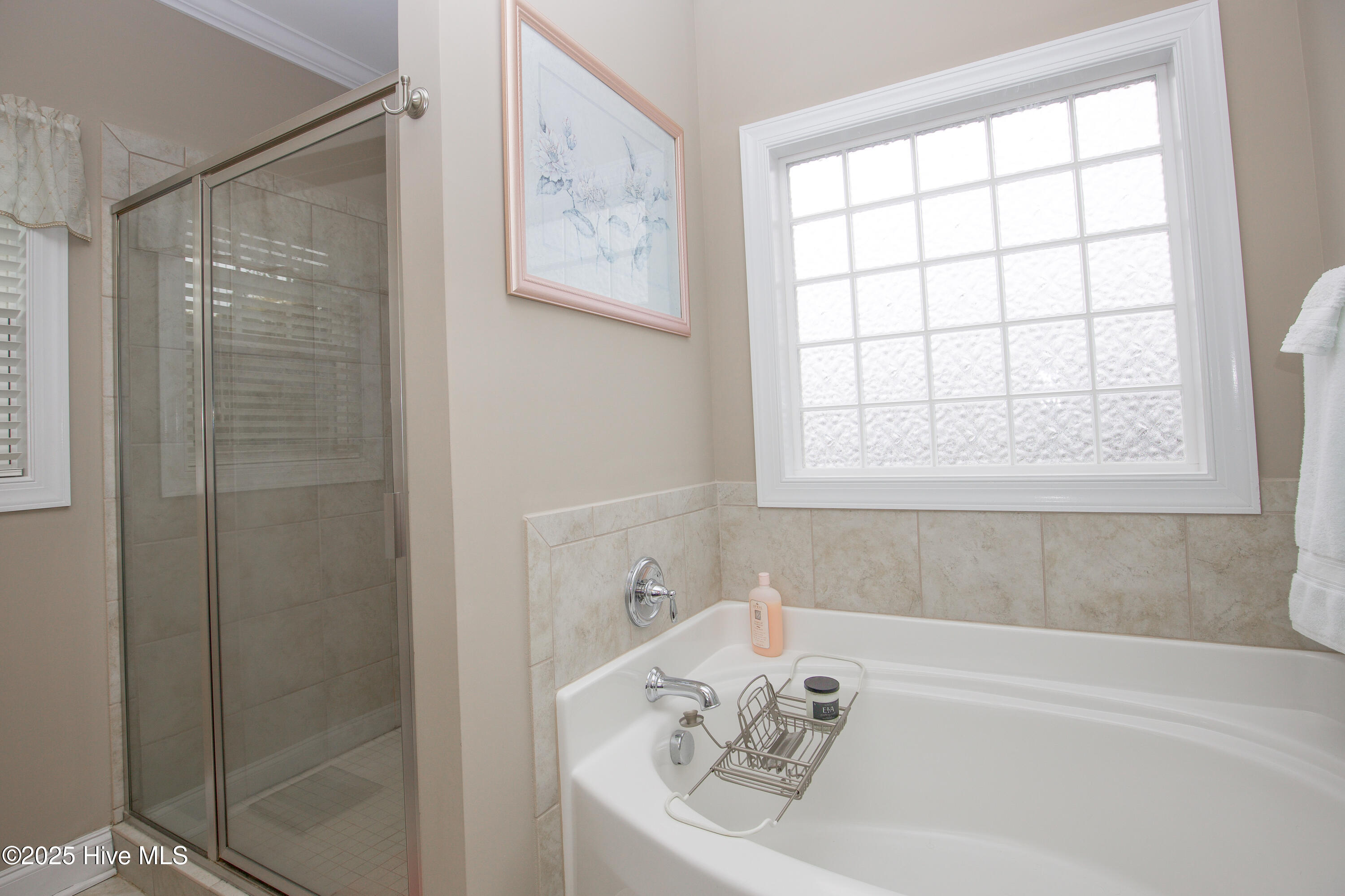 111 S Bracken Fern Lane