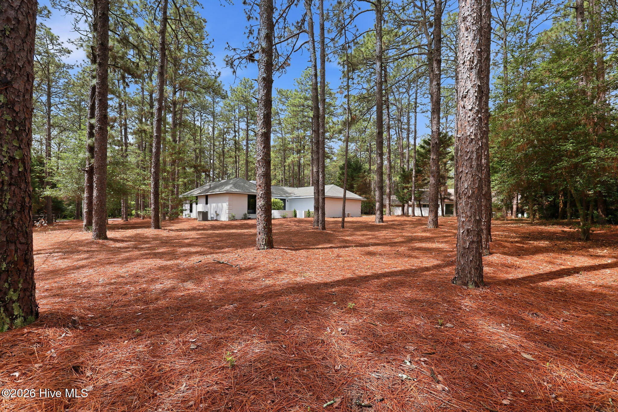 355 Serpentine Drive