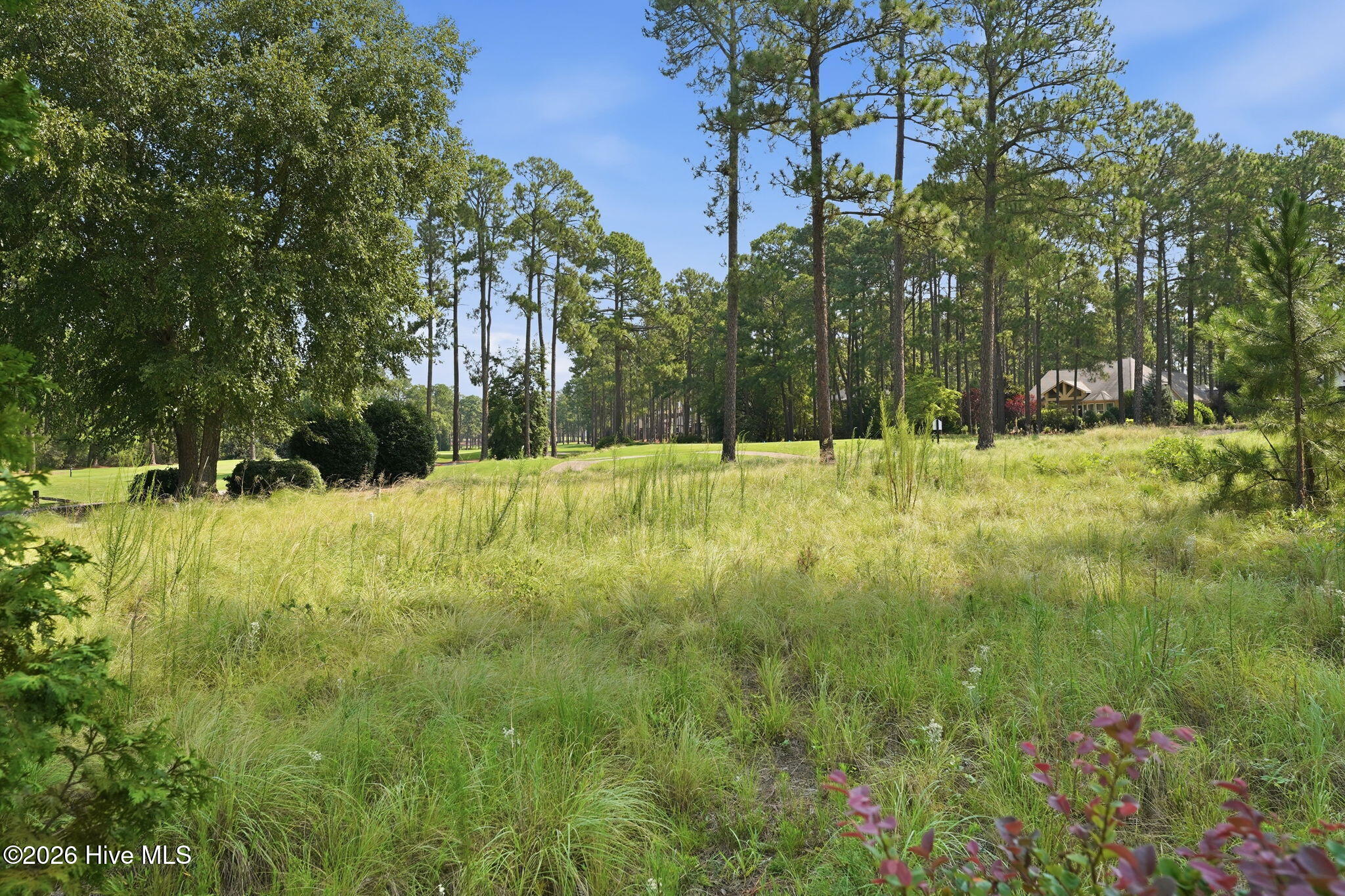 172 Champions Ridge Drive