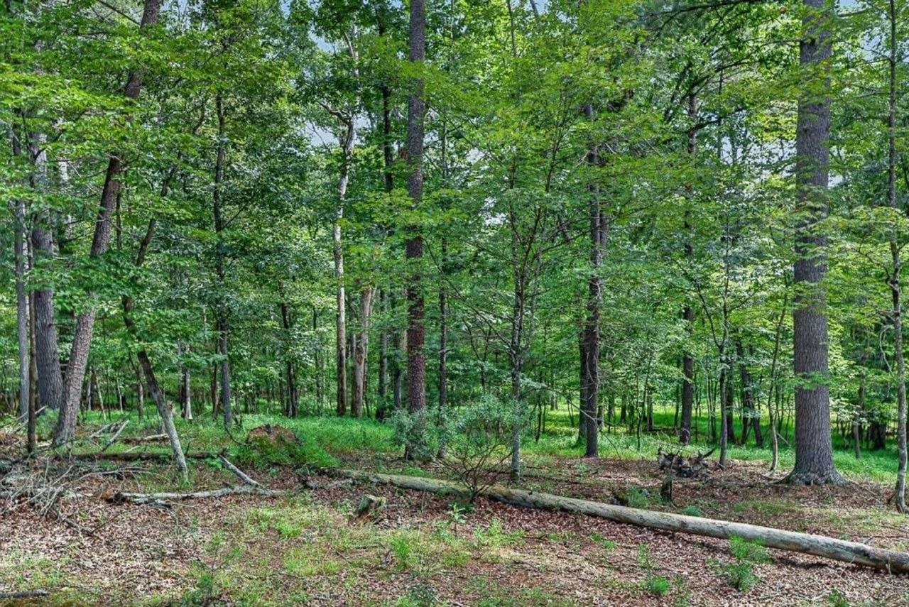 17395 PEEPERS HOLLOW LN