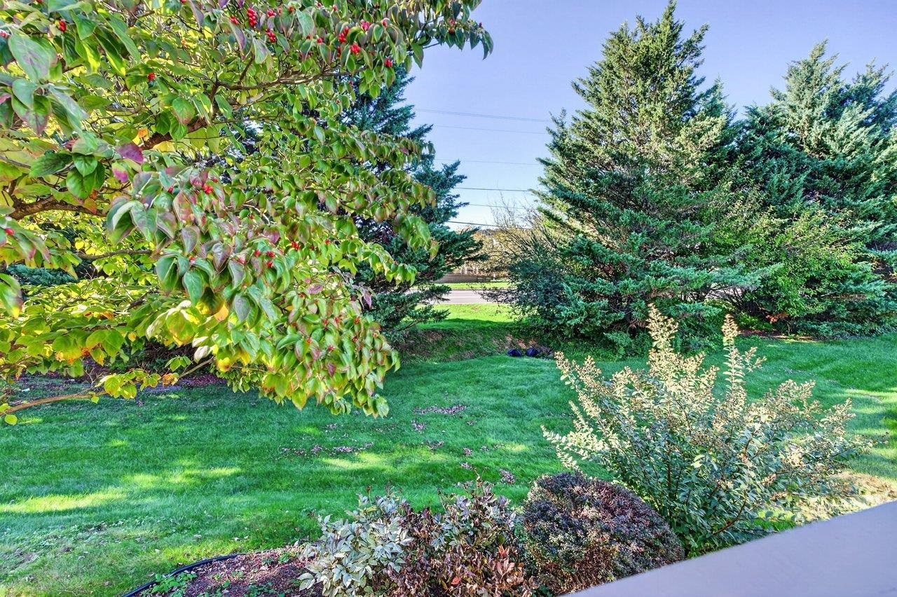 381 SPRING OAKS DR