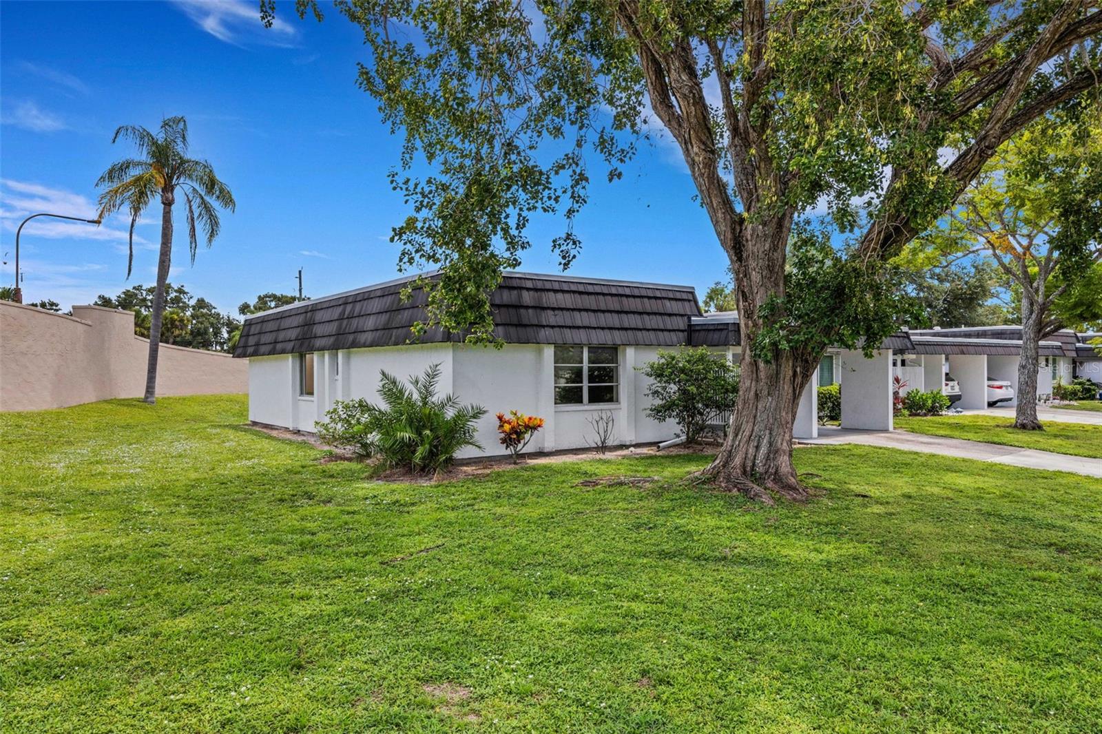 3911 PANOLA LN
