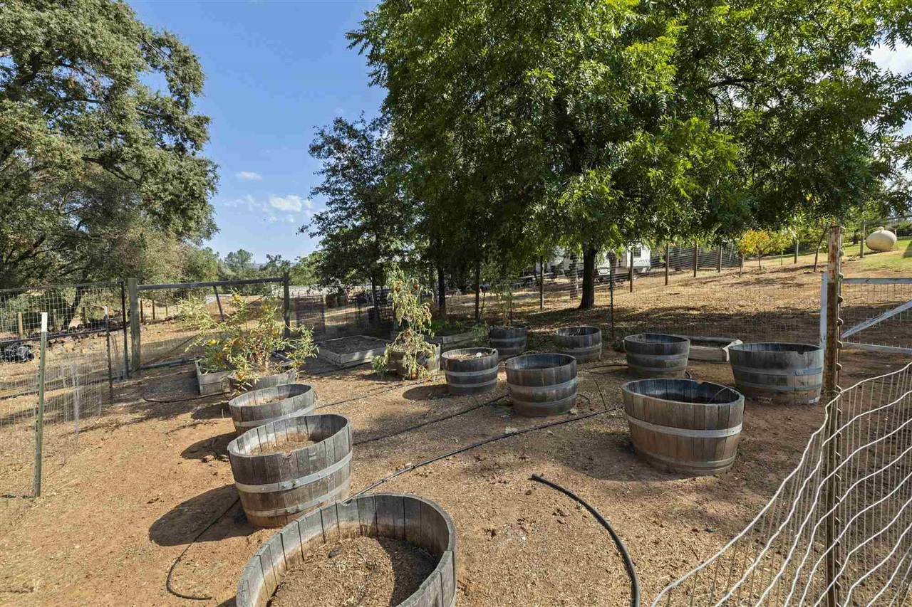 23354 Gold Springs Drive