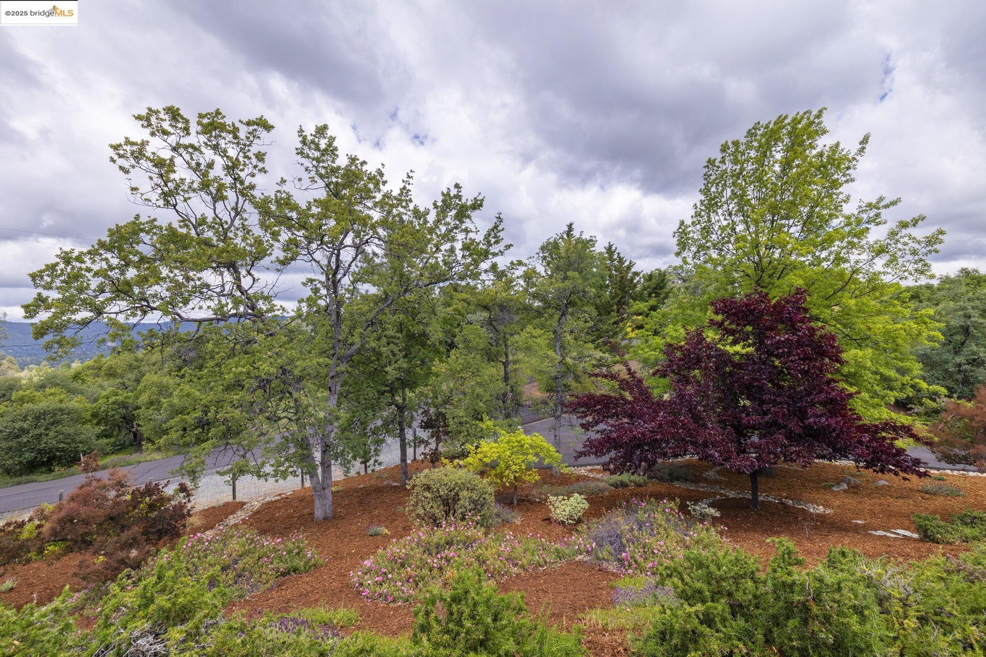 16399 Crestridge Ave