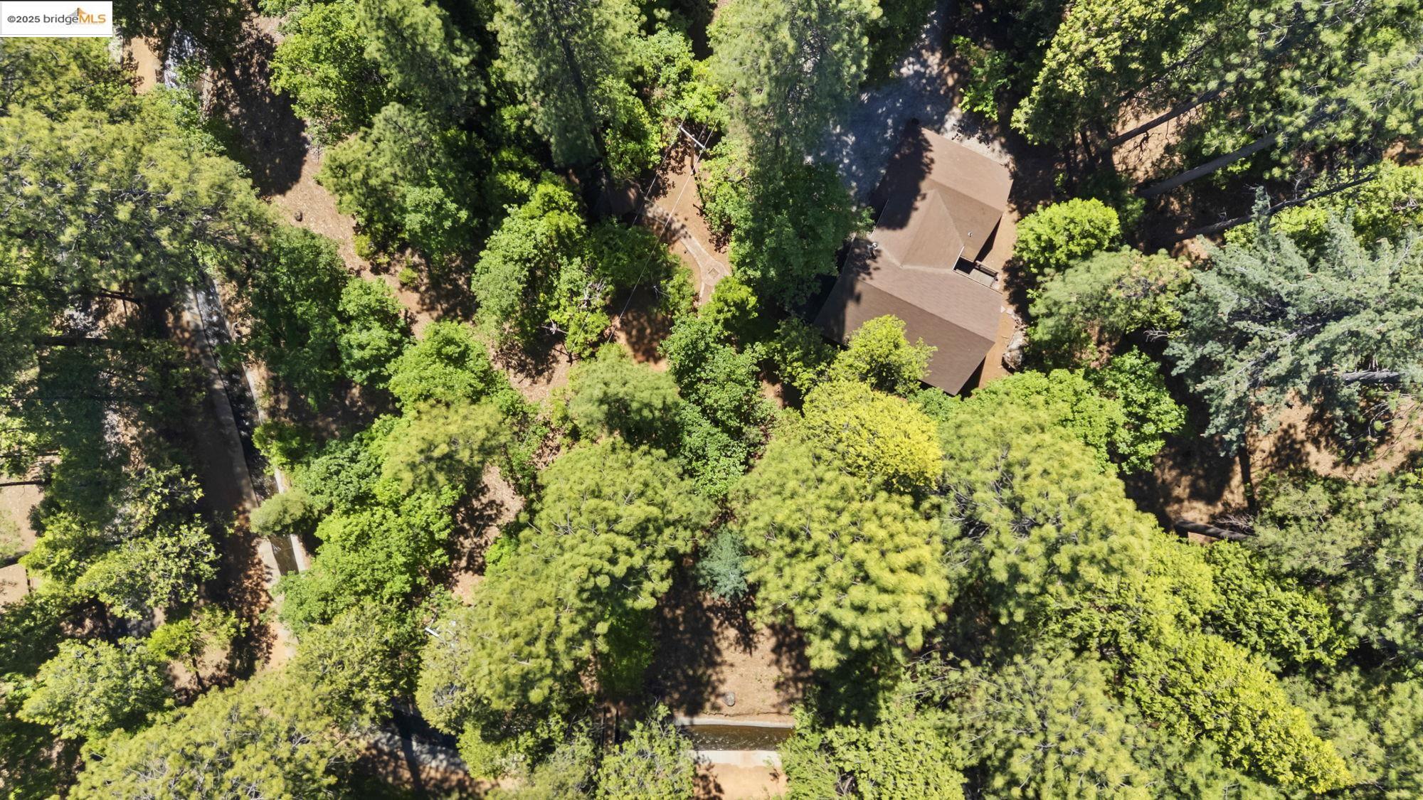 17070 Broken Pine Rd