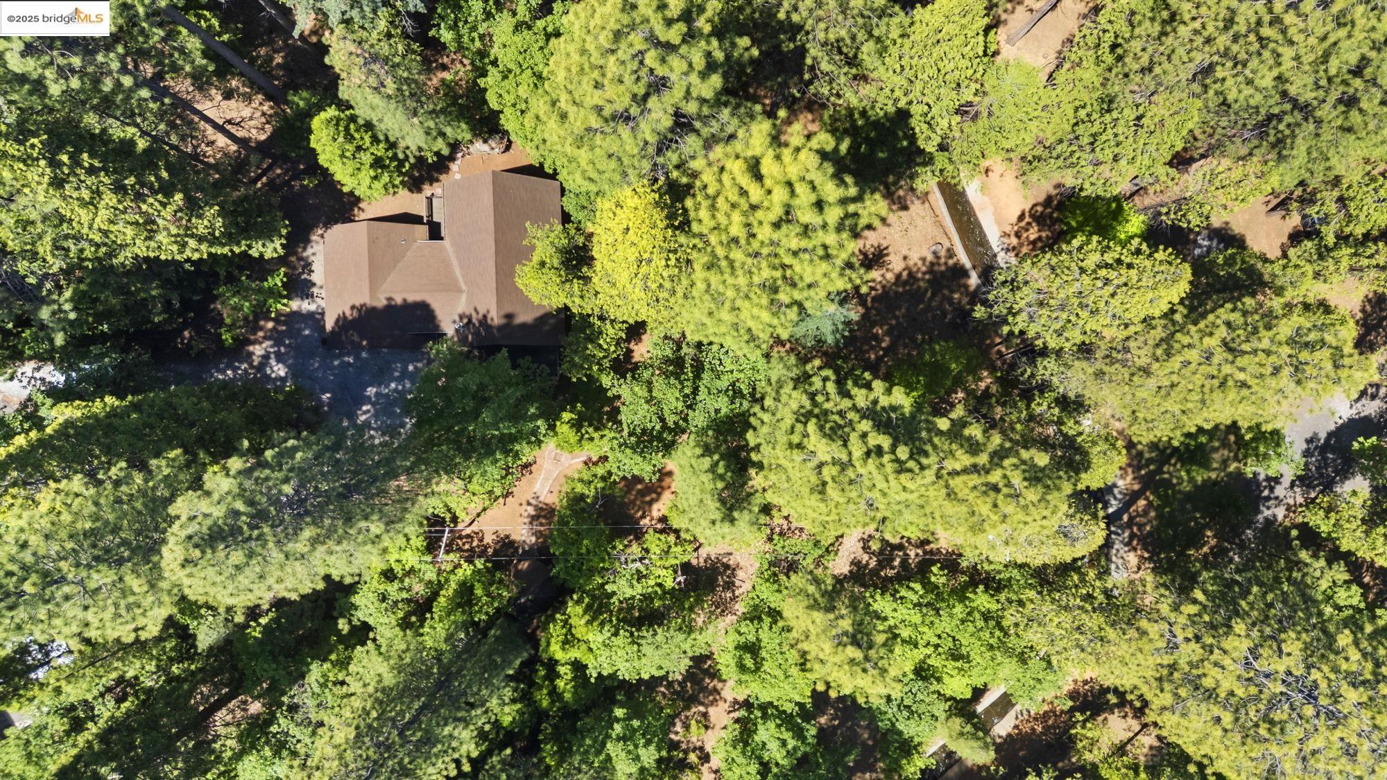 17070 Broken Pine Rd