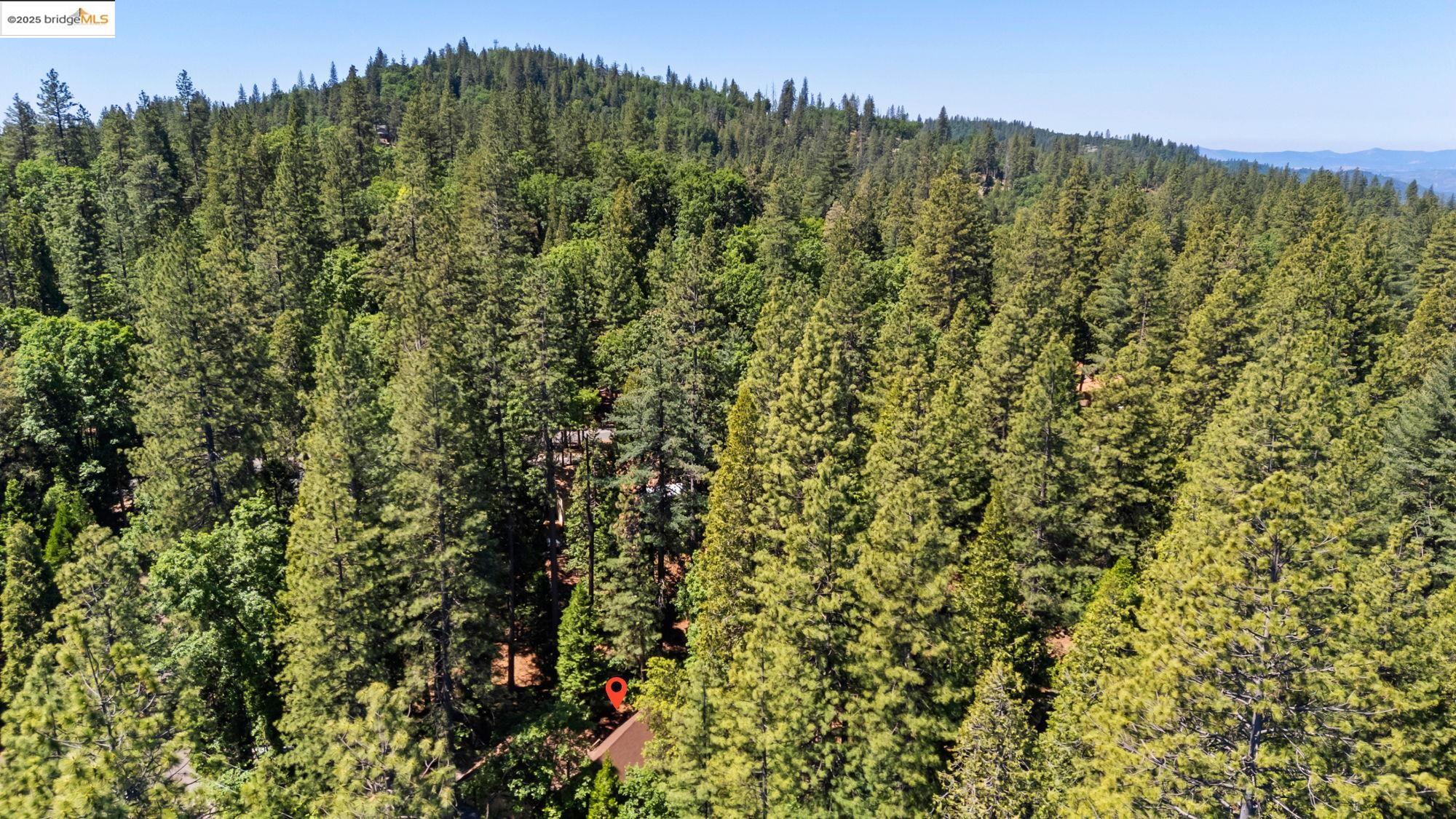 17070 Broken Pine Rd