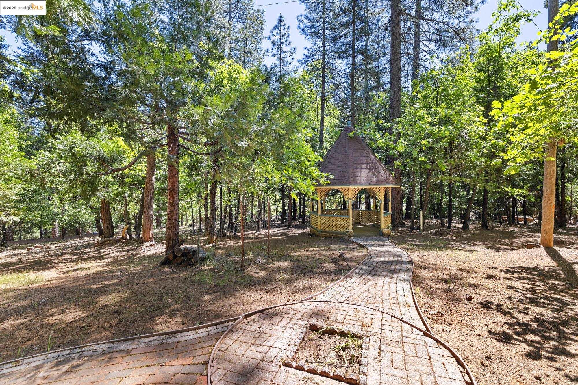 17070 Broken Pine Rd