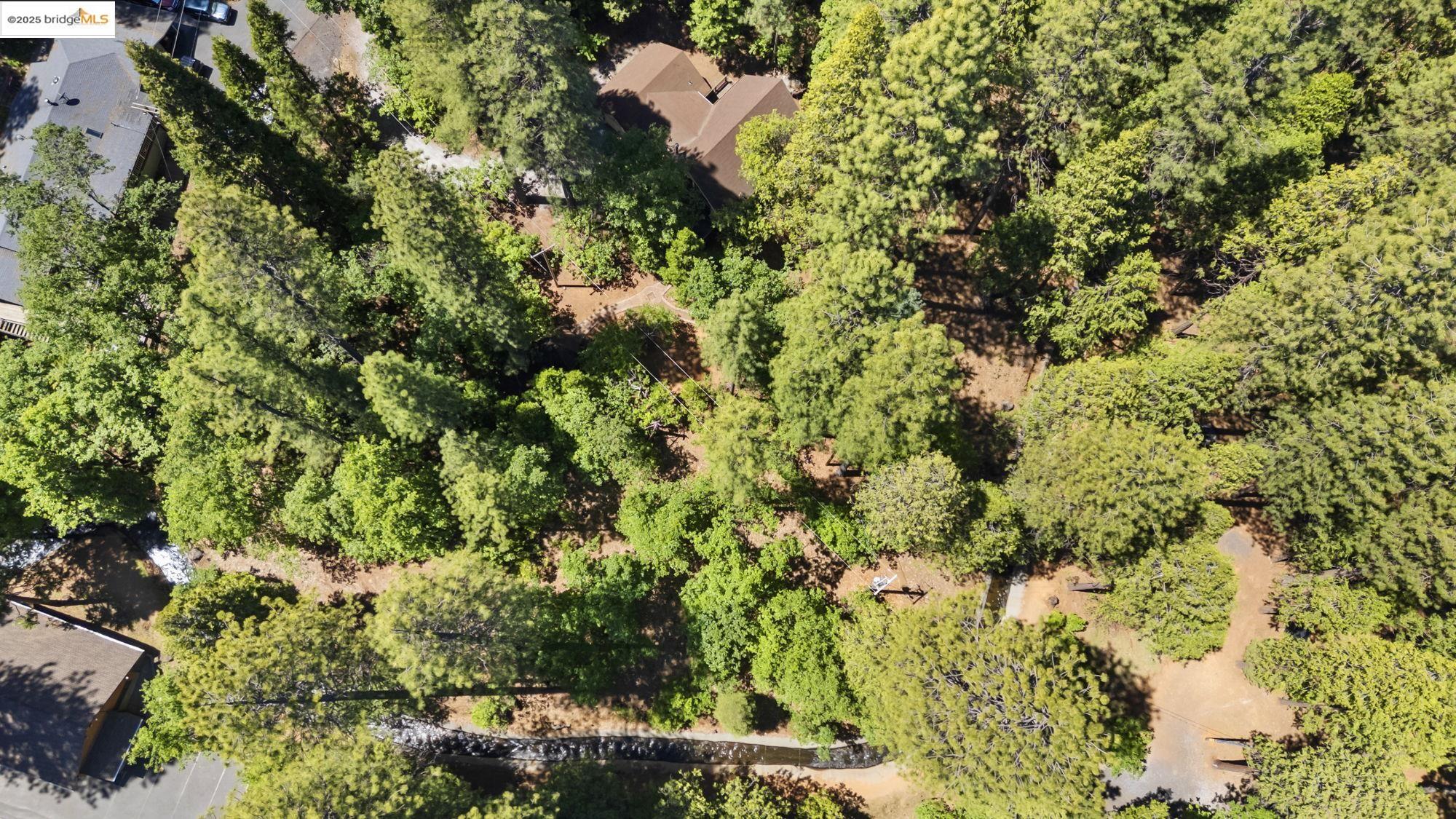 17070 Broken Pine Rd