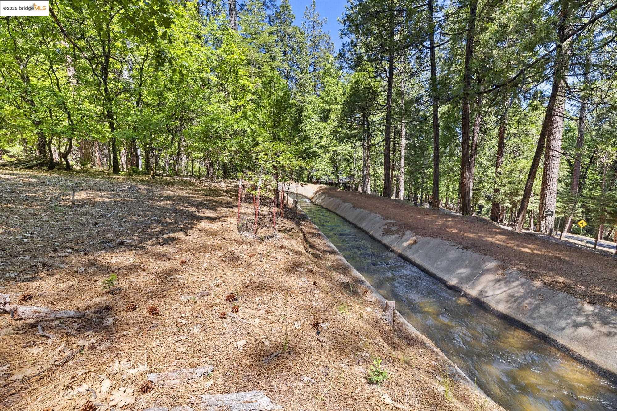 17070 Broken Pine Rd