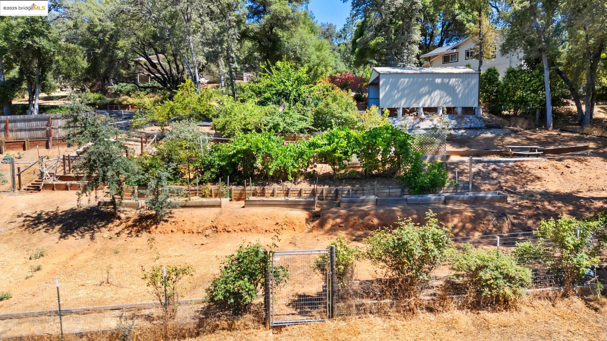 14147 Alder Ln