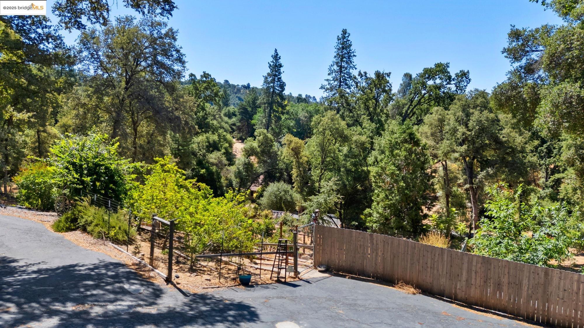 14147 Alder Ln