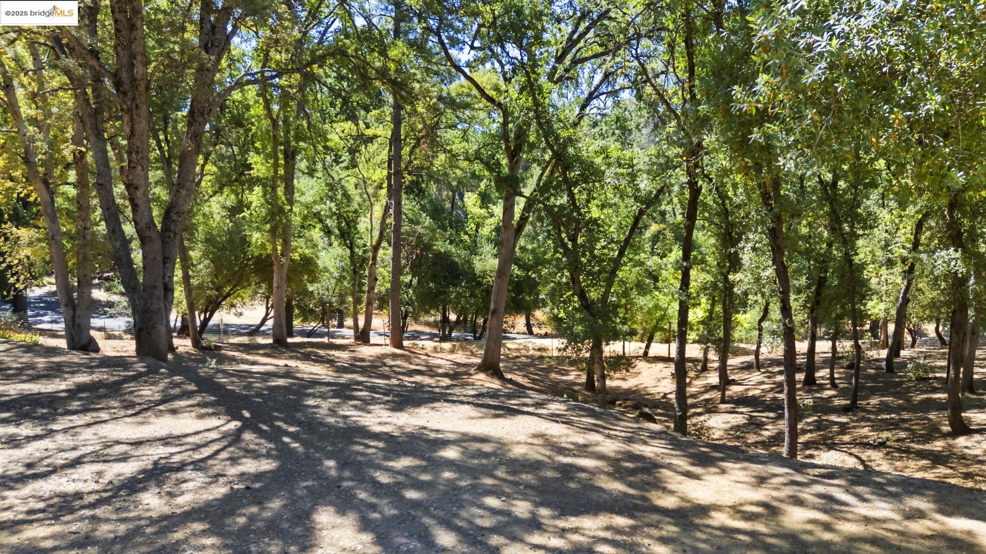 14147 Alder Ln
