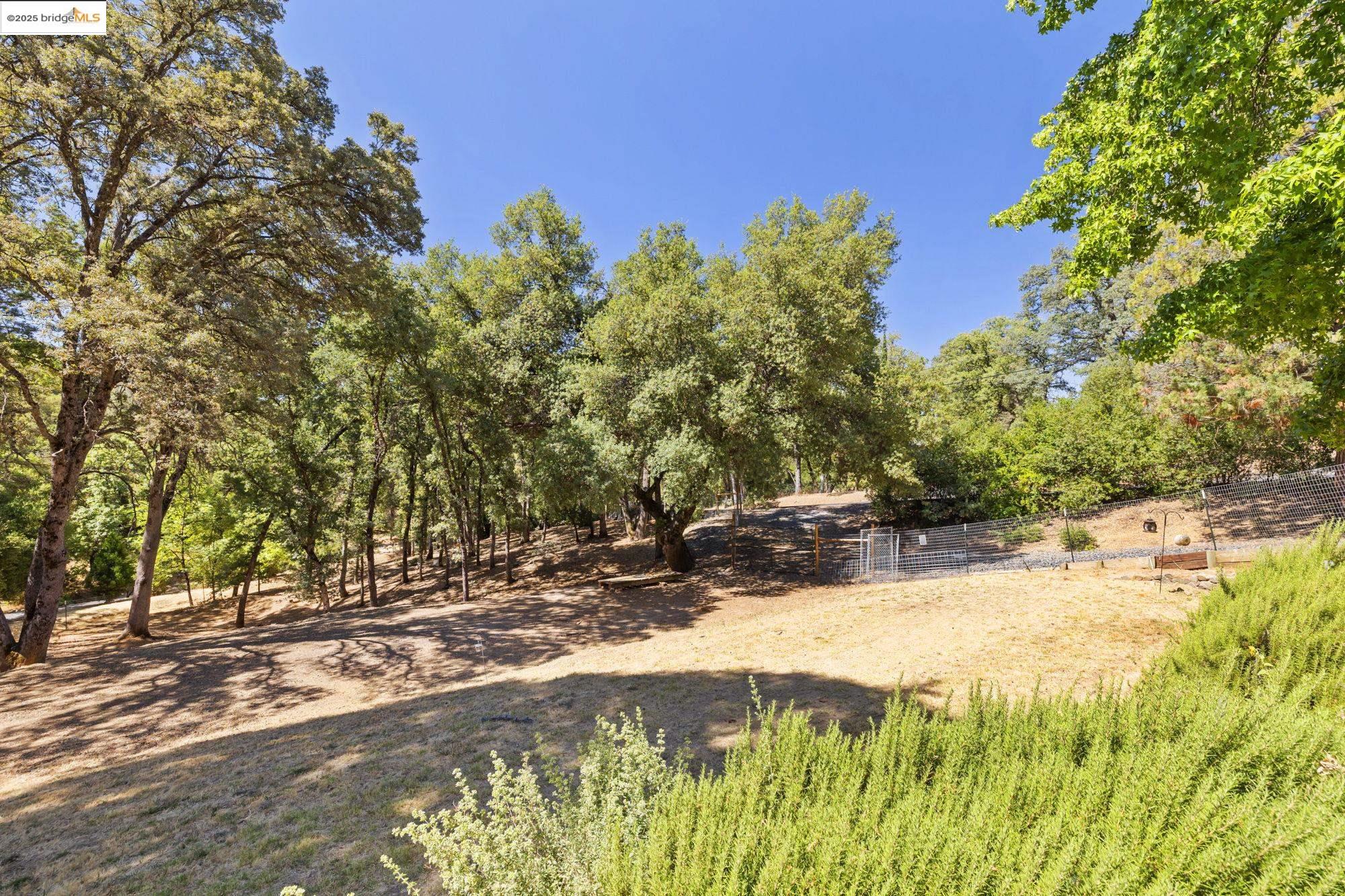 14147 Alder Ln
