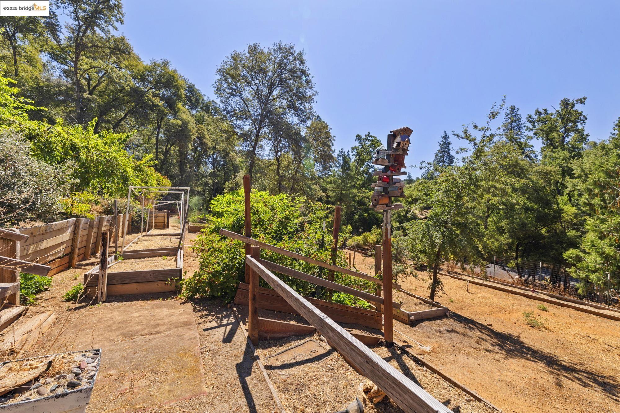 14147 Alder Ln