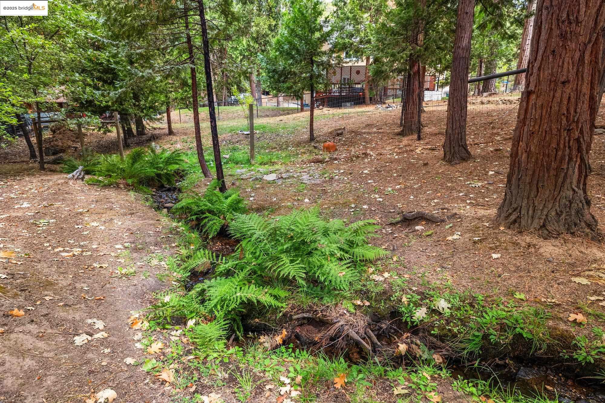 18814 Middle Camp Sugar Pine Rd