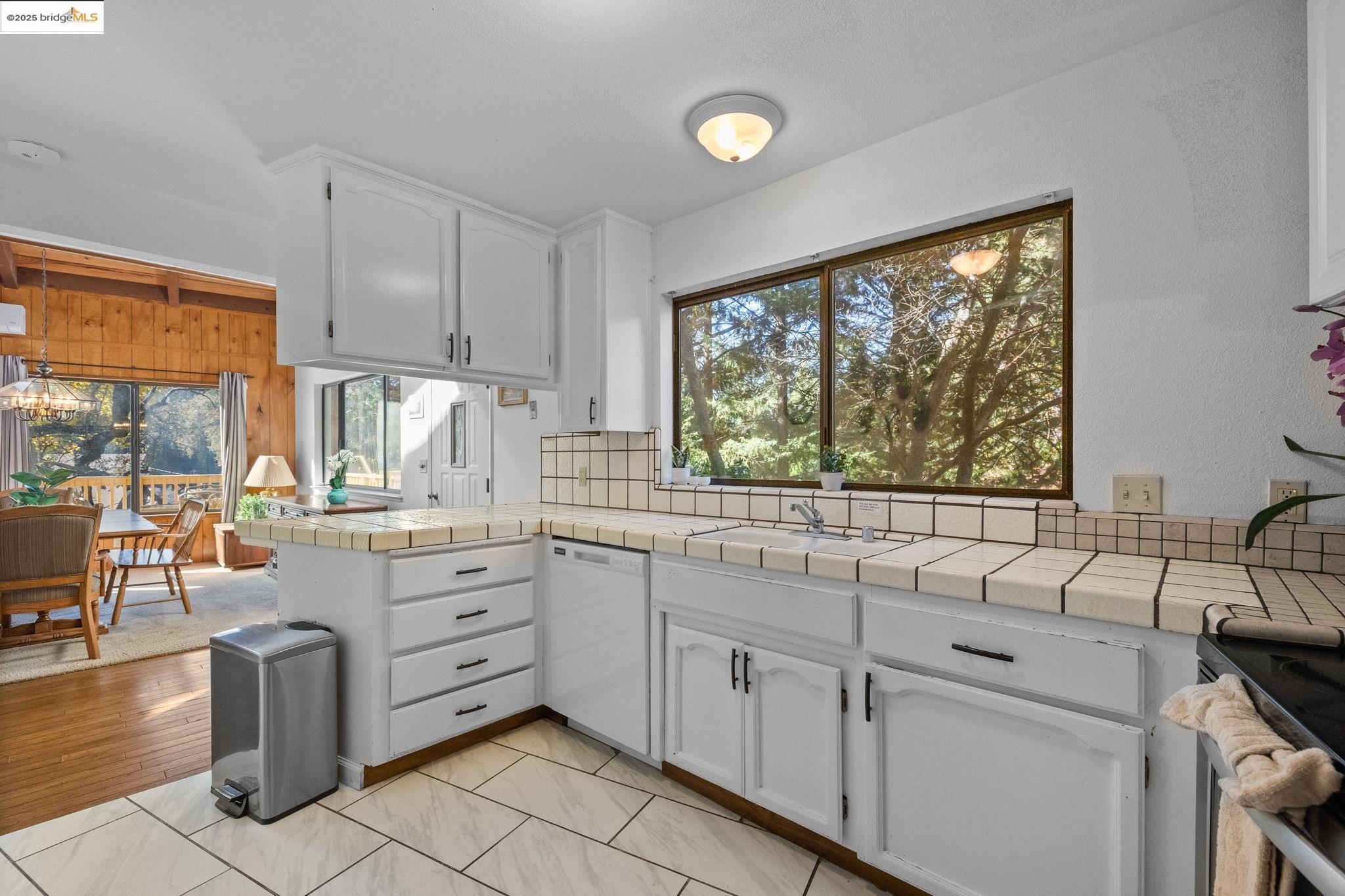 20266 Pine Mountain Dr