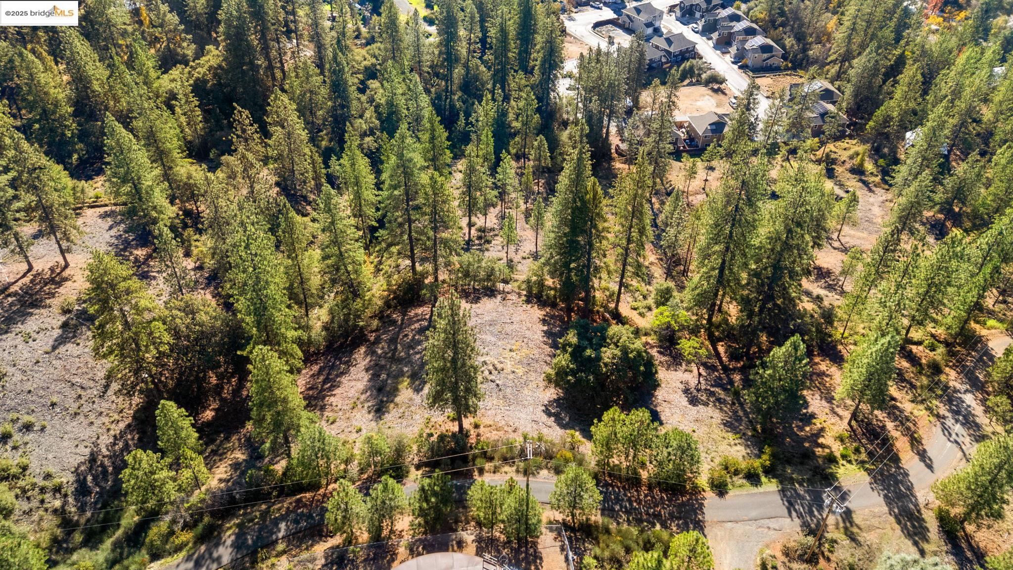 11210 Forest Park Rd