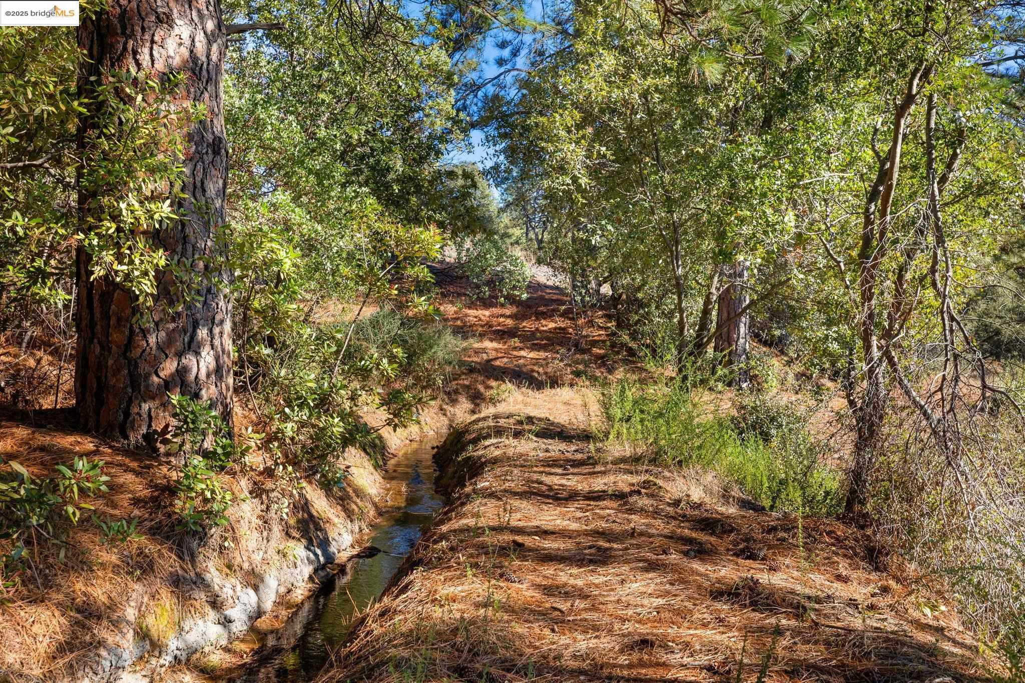 11210 Forest Park Rd