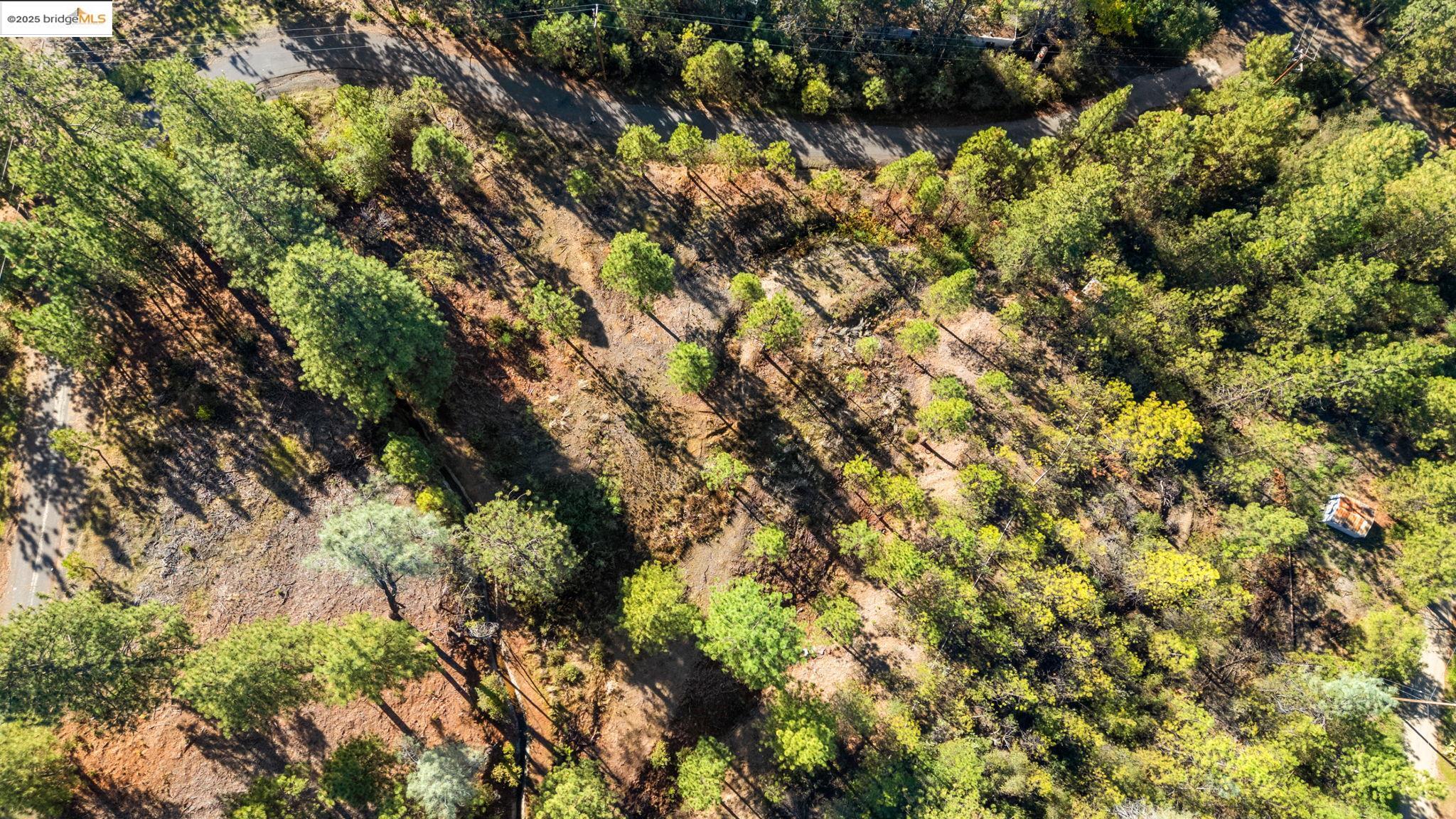 11210 Forest Park Rd