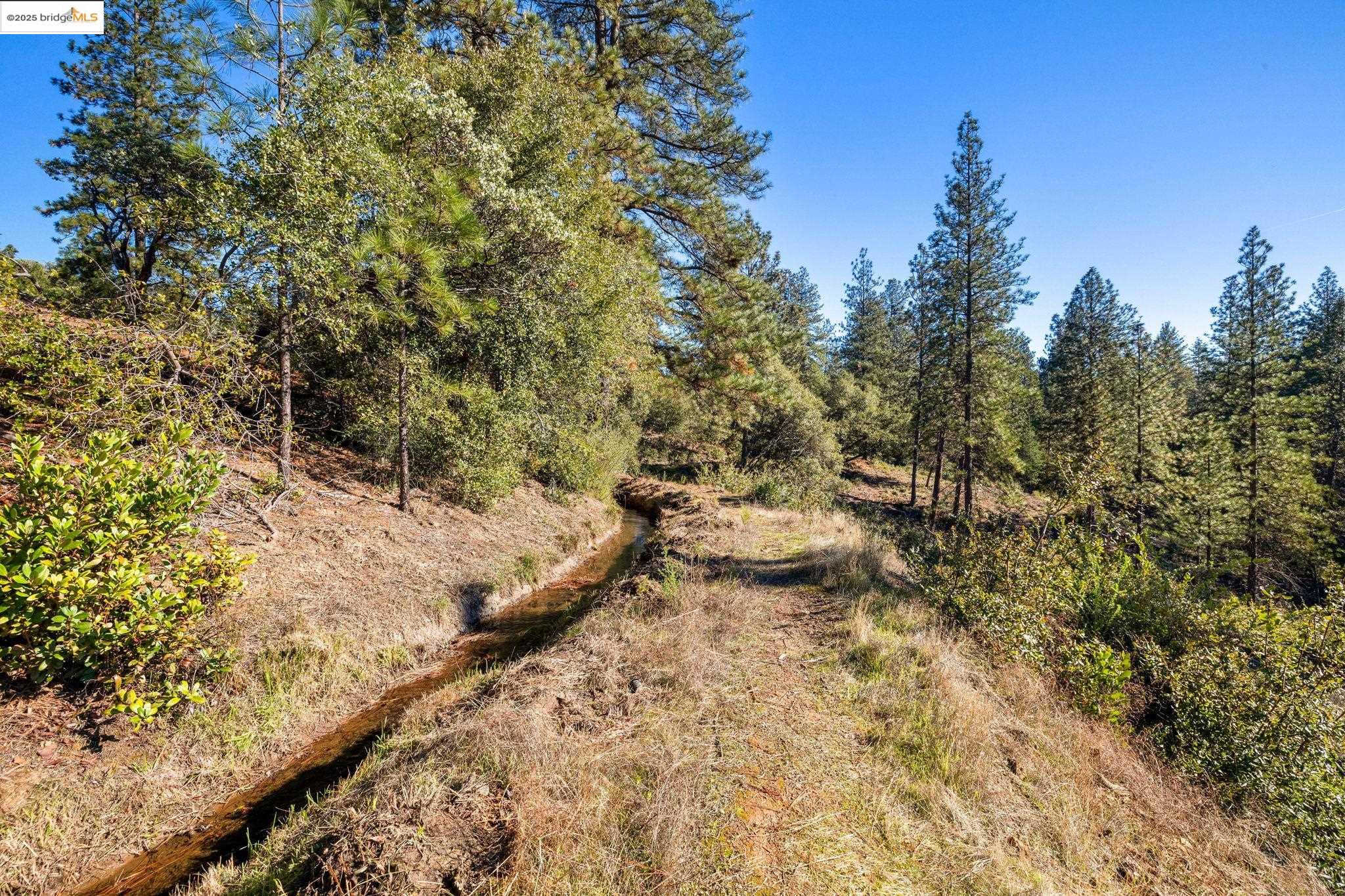 11210 Forest Park Rd