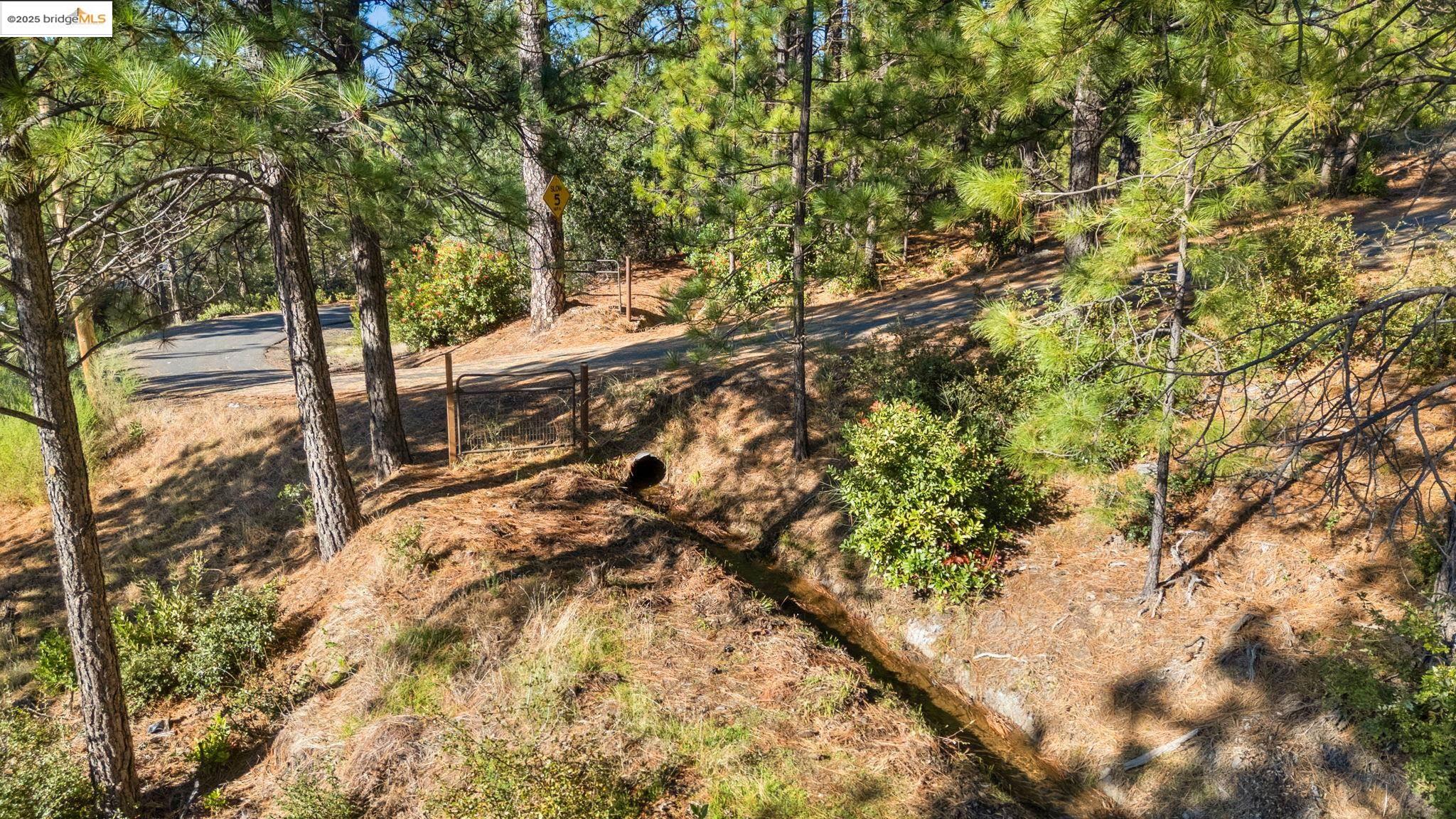 11210 Forest Park Rd