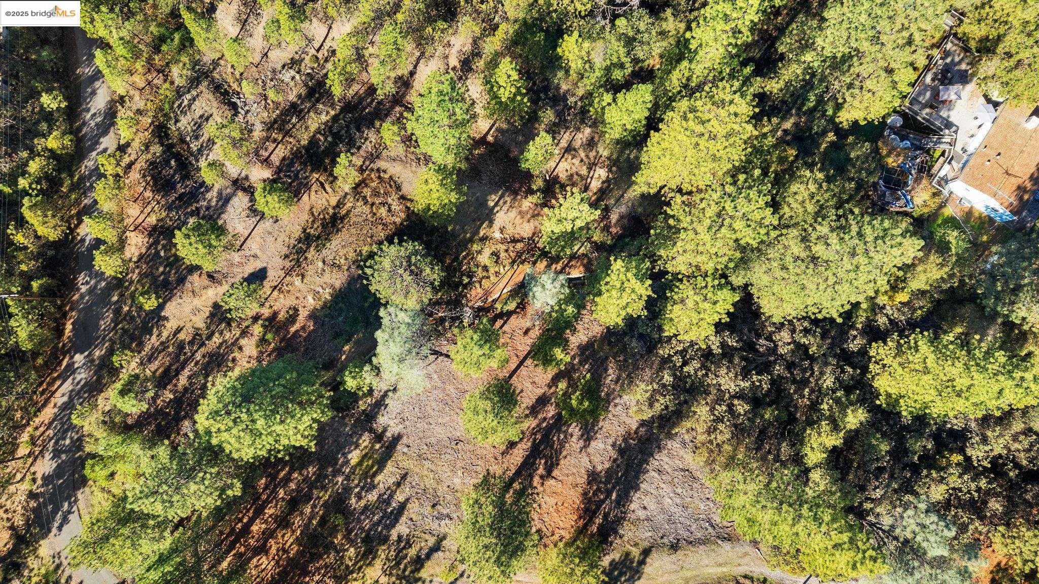 11210 Forest Park Rd