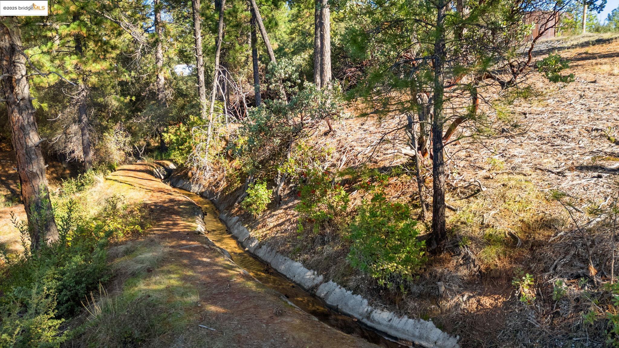 11210 Forest Park Rd