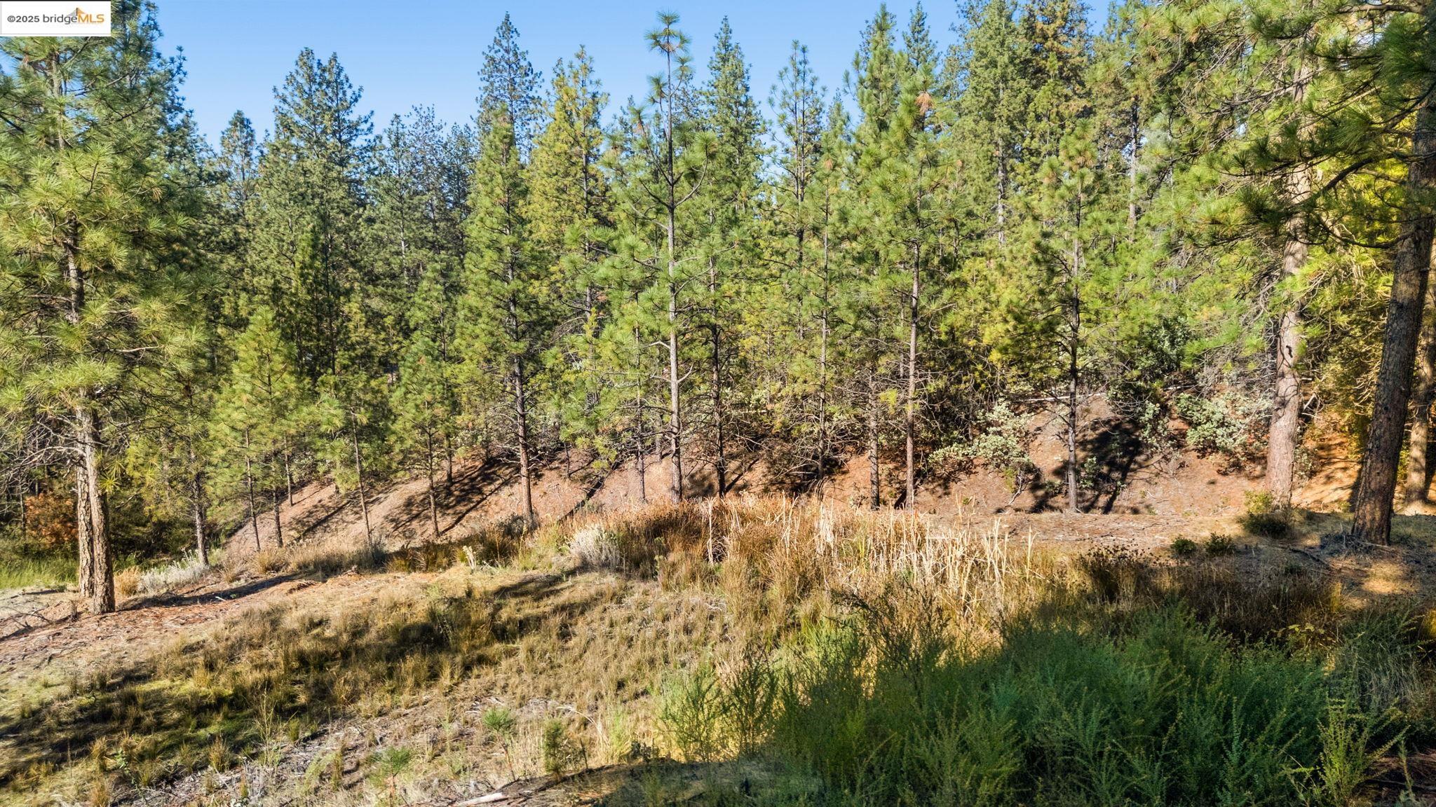 11210 Forest Park Rd