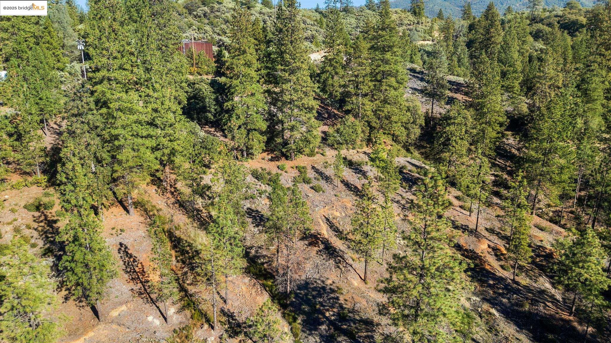 11210 Forest Park Rd