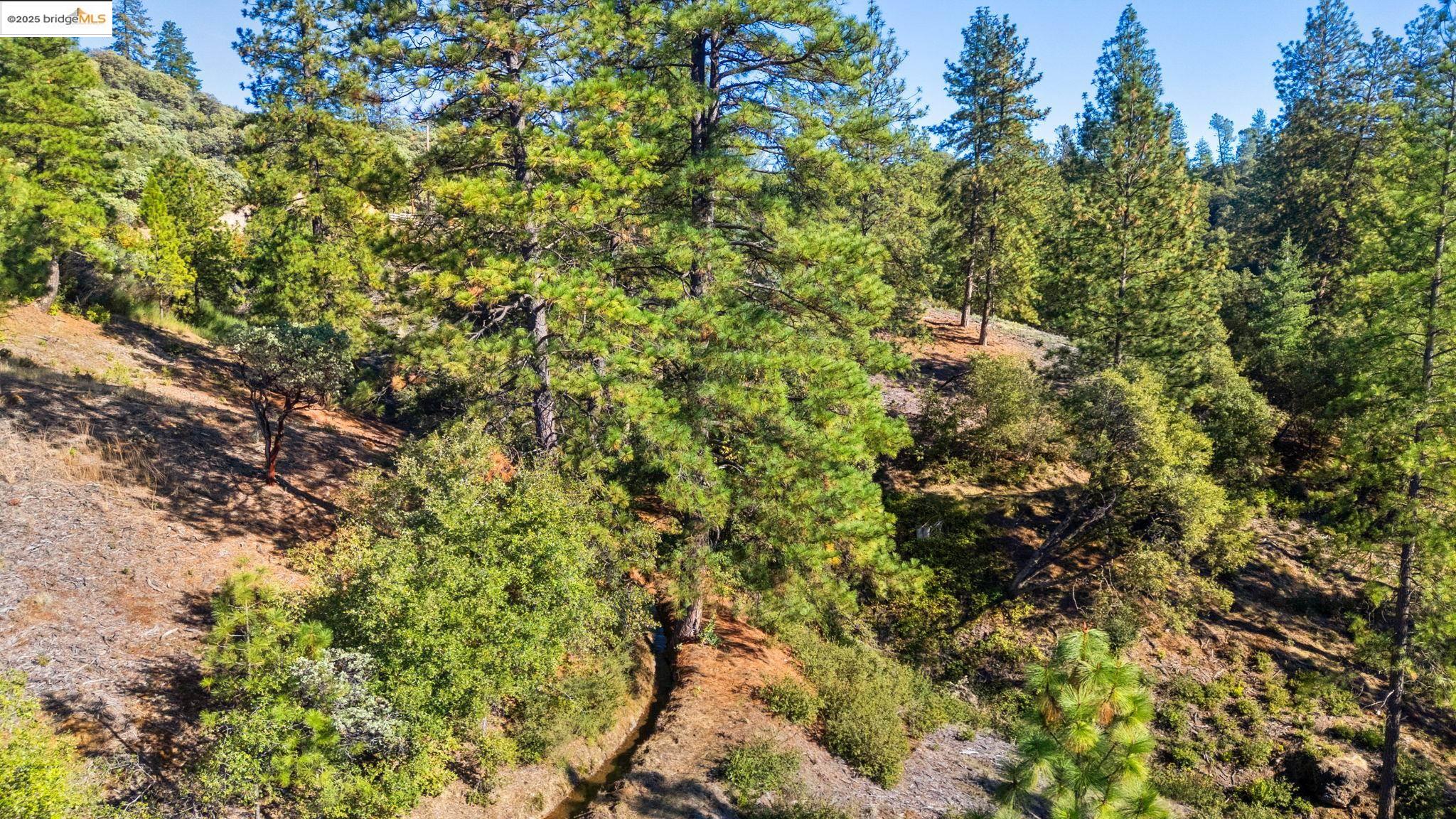 11210 Forest Park Rd