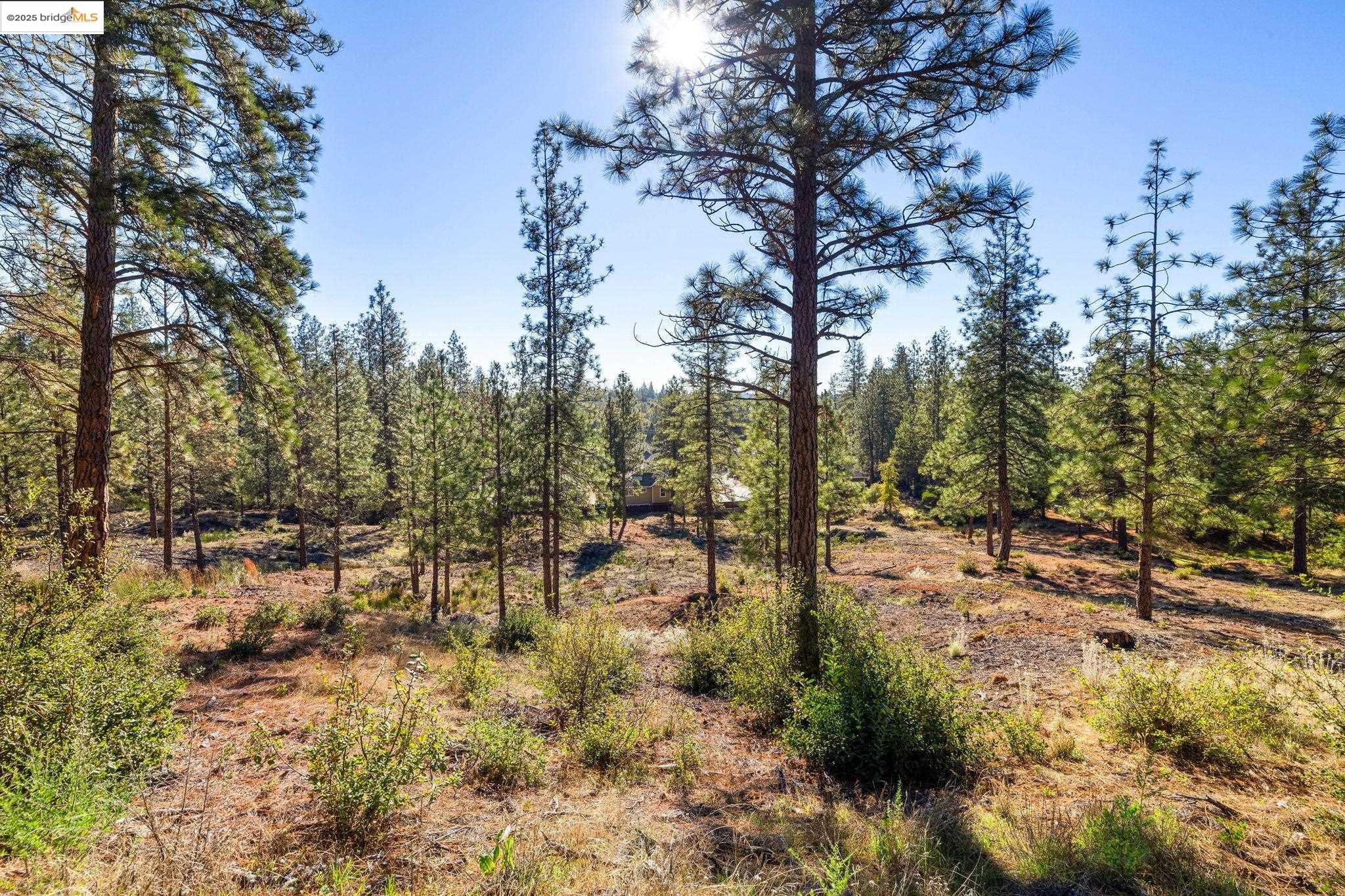 11210 Forest Park Rd