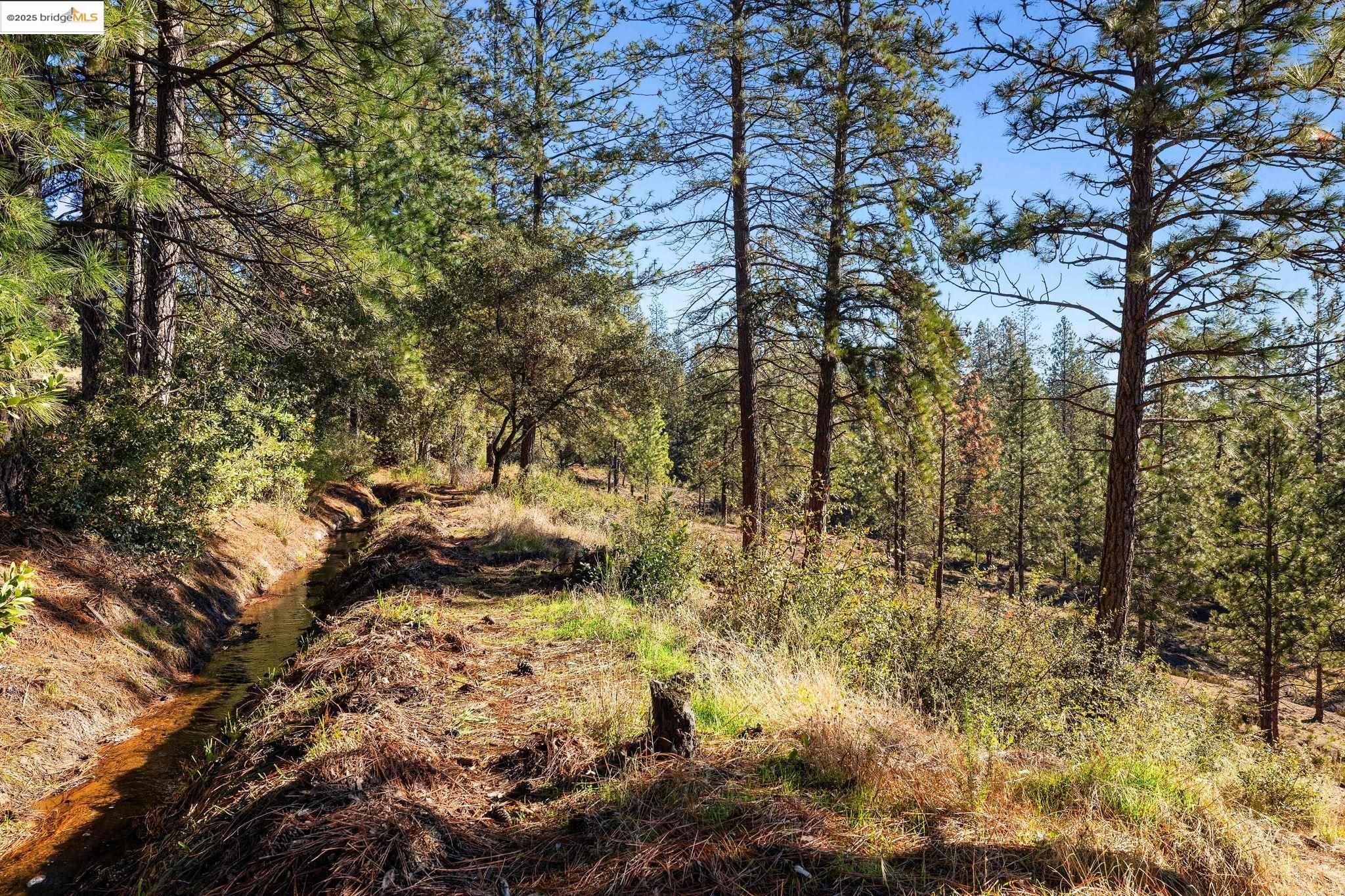 11210 Forest Park Rd