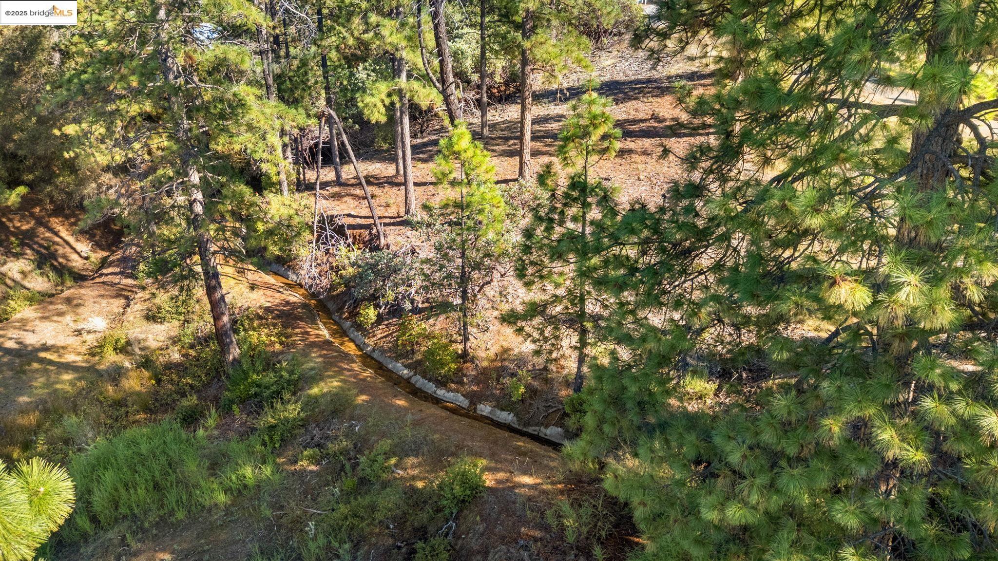 11210 Forest Park Rd