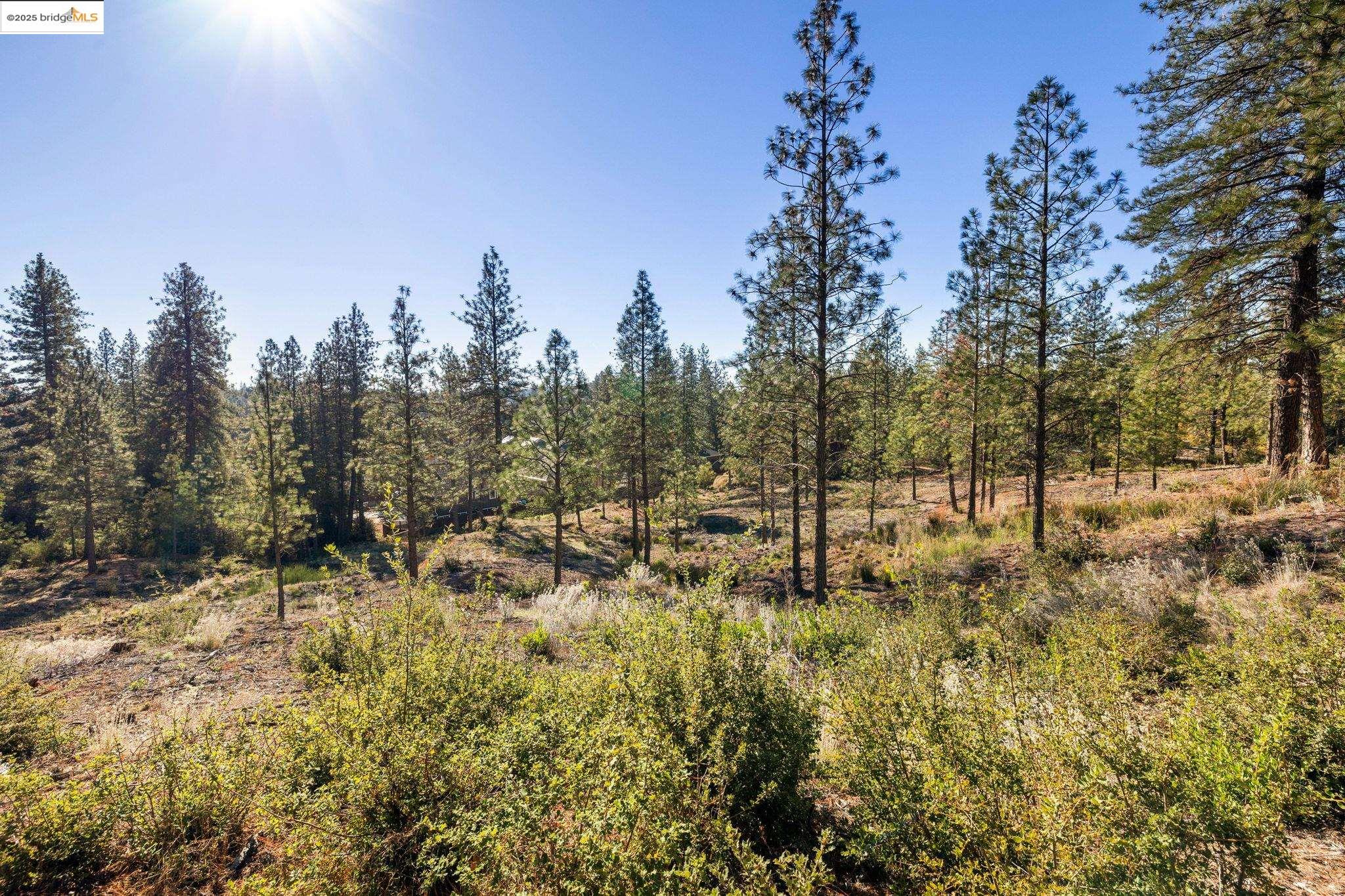 11210 Forest Park Rd