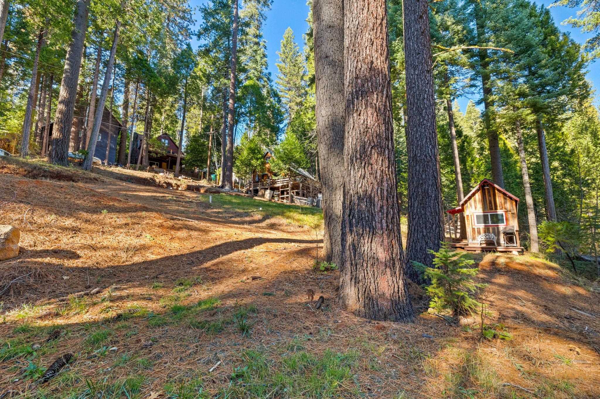 25777 Long Barn Sugar Pine Rd