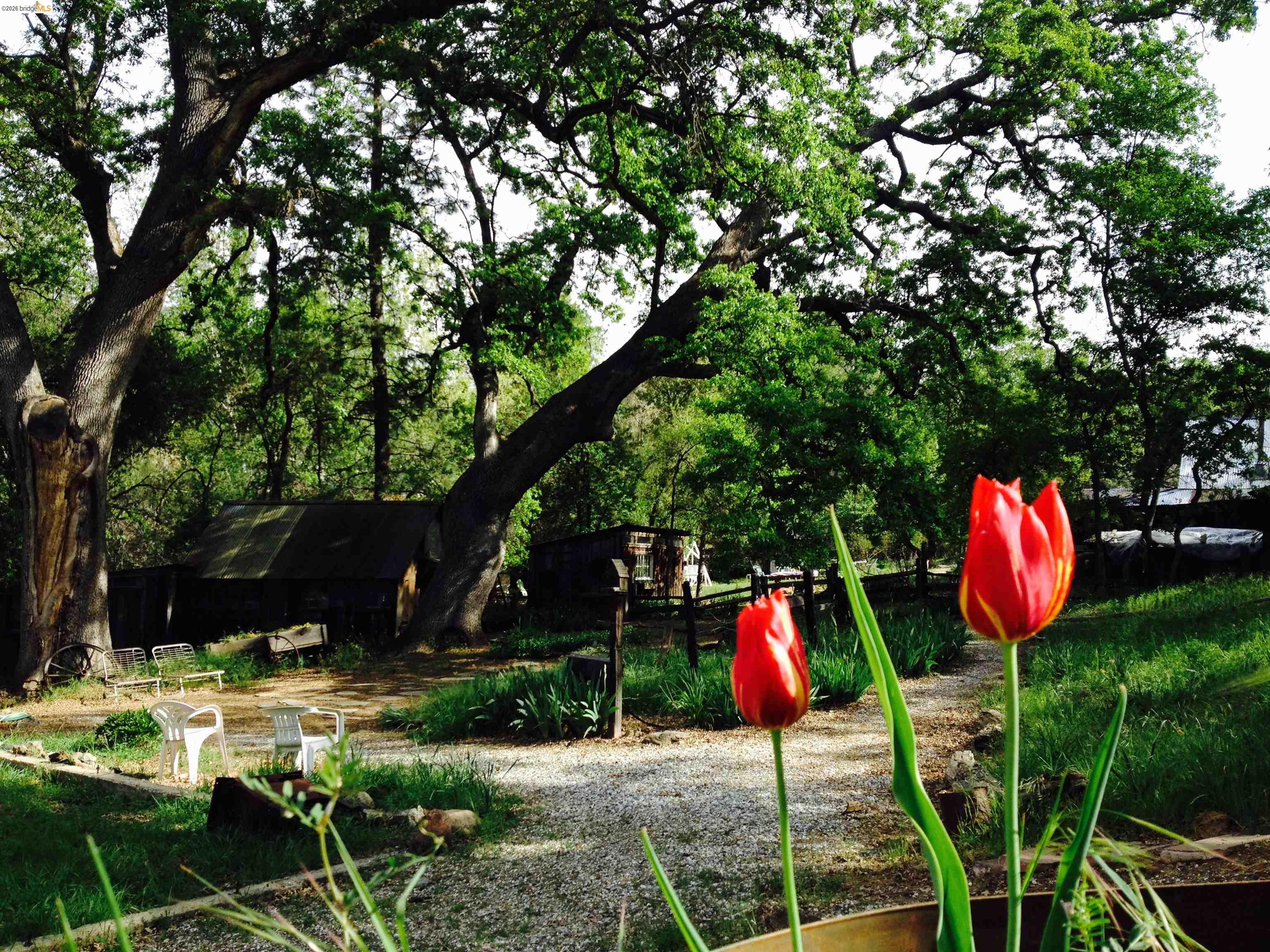 19100 Andra Dr