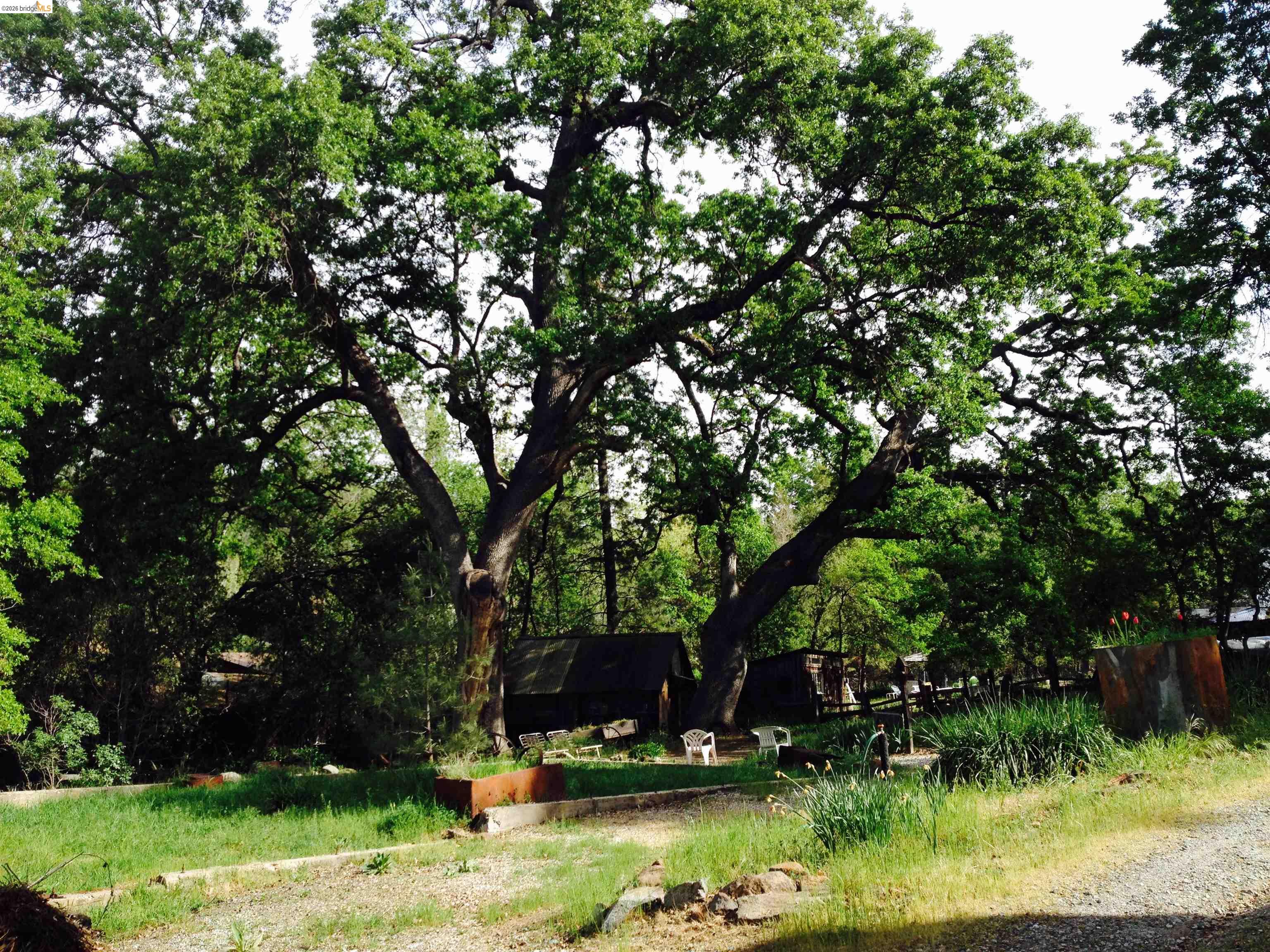19100 Andra Dr