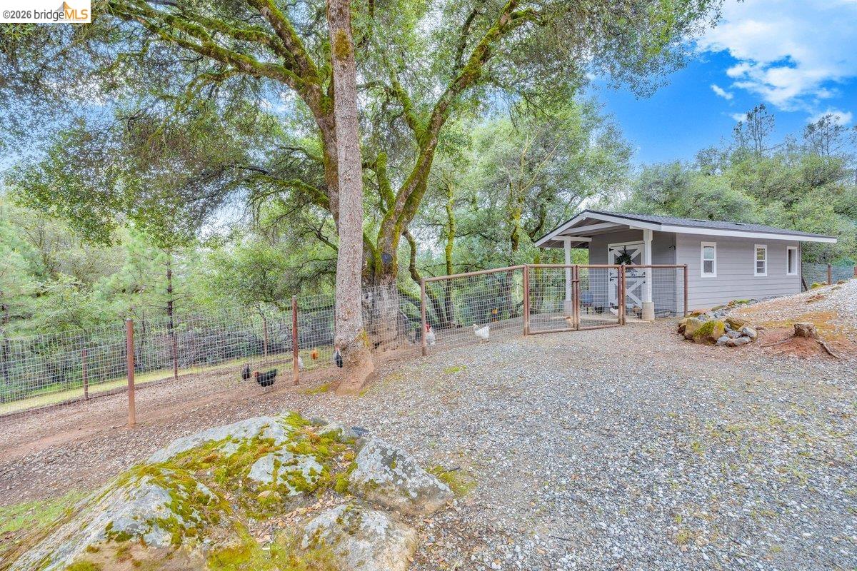 21950 Lyons Bald Mountain Rd